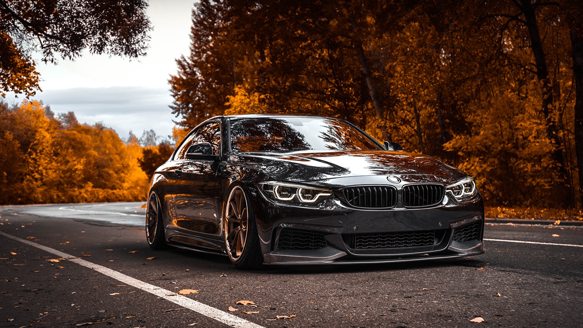 General 1920x1080 forest black BMW orange tuning car German cars frontal view headlights leaves sky trees clouds vehicle road fall