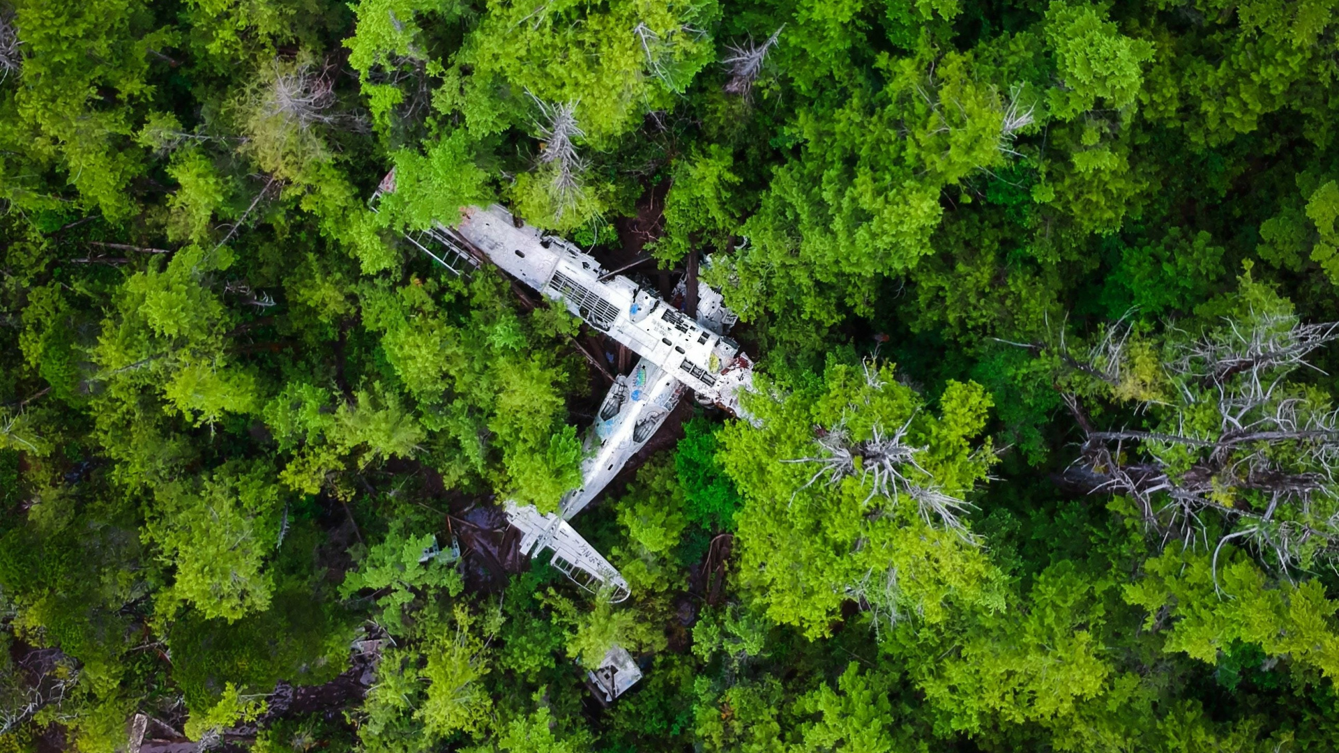 General 1920x1080 airplane forest nature wreck photography vehicle top view