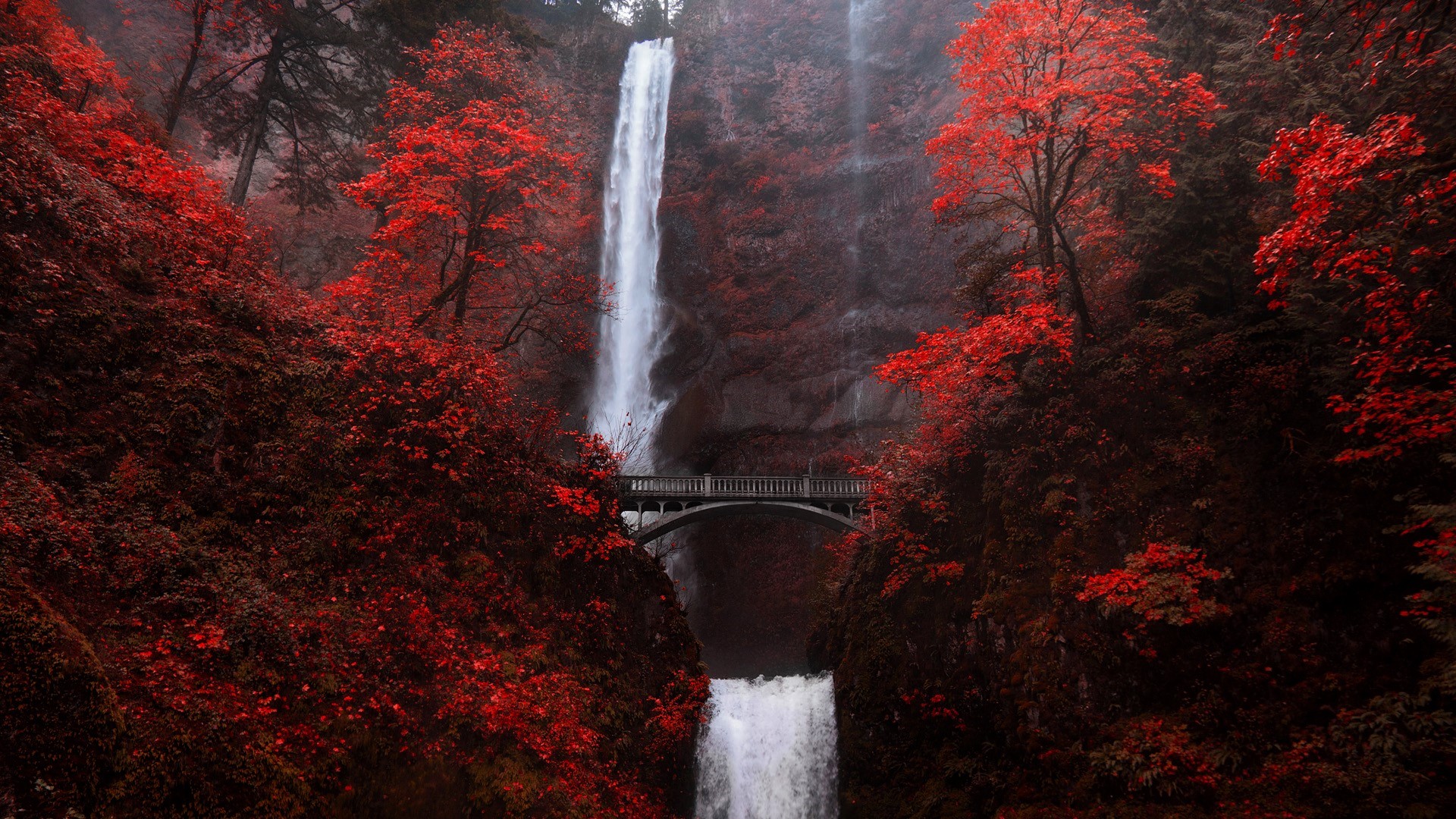 General 1920x1080 trees fall bridge mountains plants rocks water waterfall Multnomah Falls Oregon USA