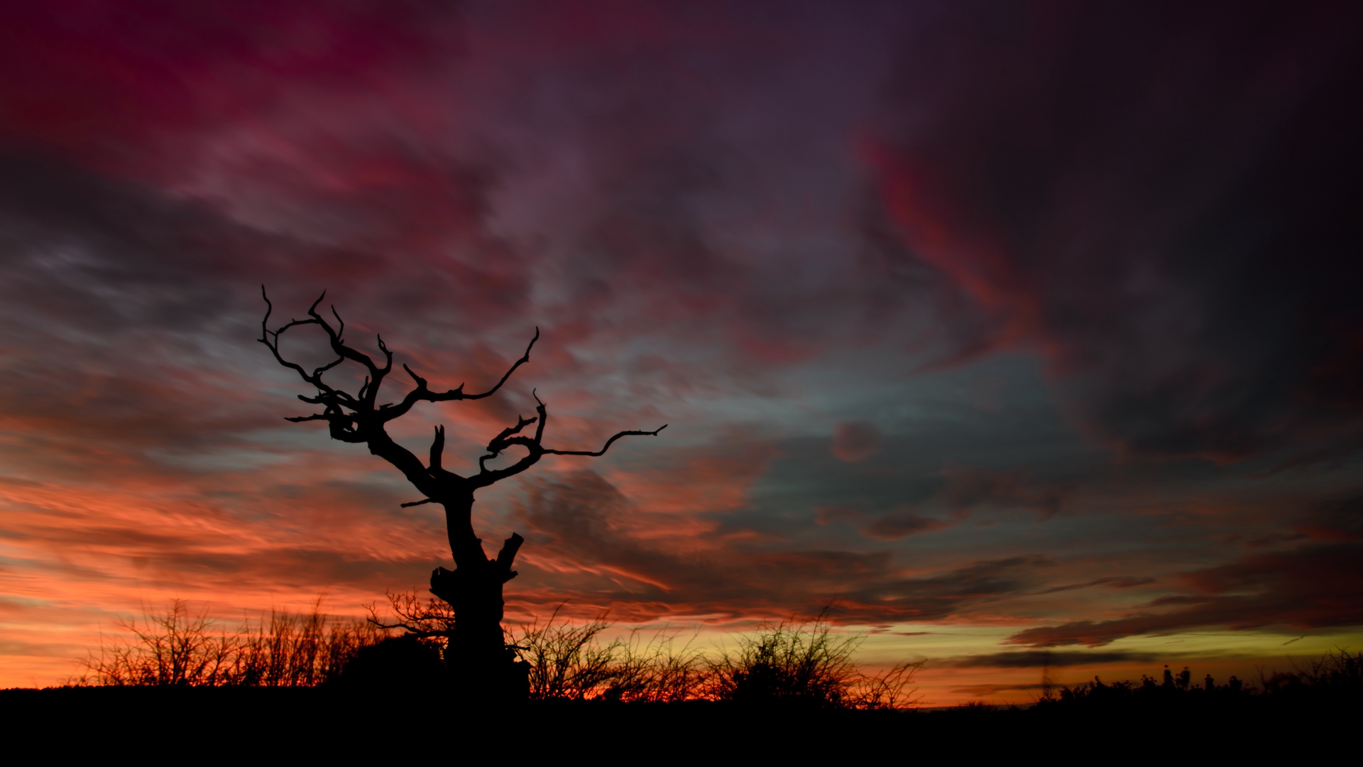 General 1920x1080 trees silhouette sunset night sky dusk dead trees red orange nature