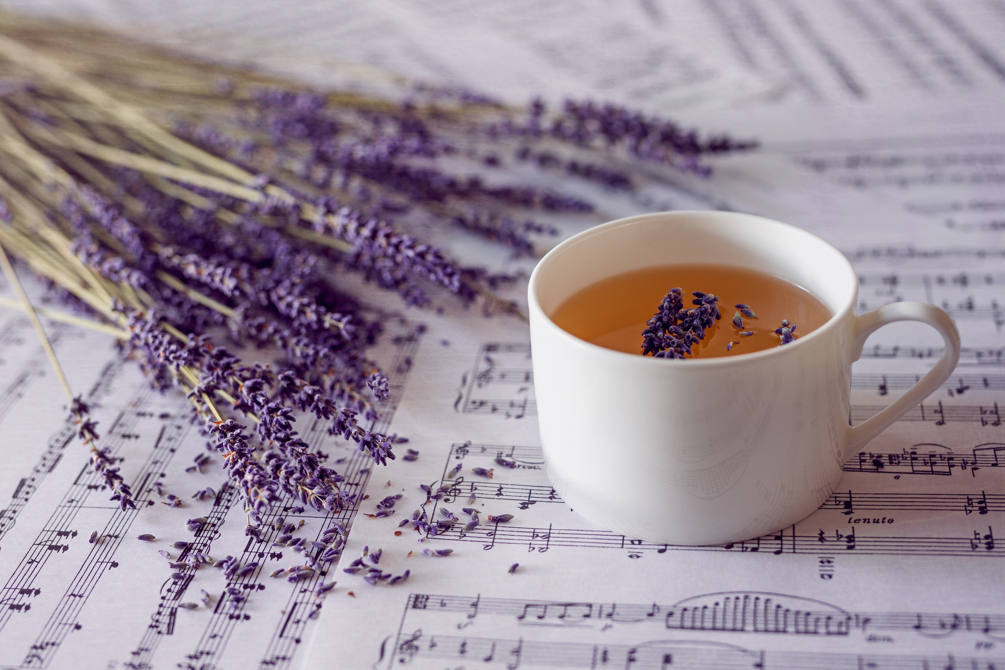 General 2048x1366 musical notes cup tea plants lavender closeup drink paper depth of field