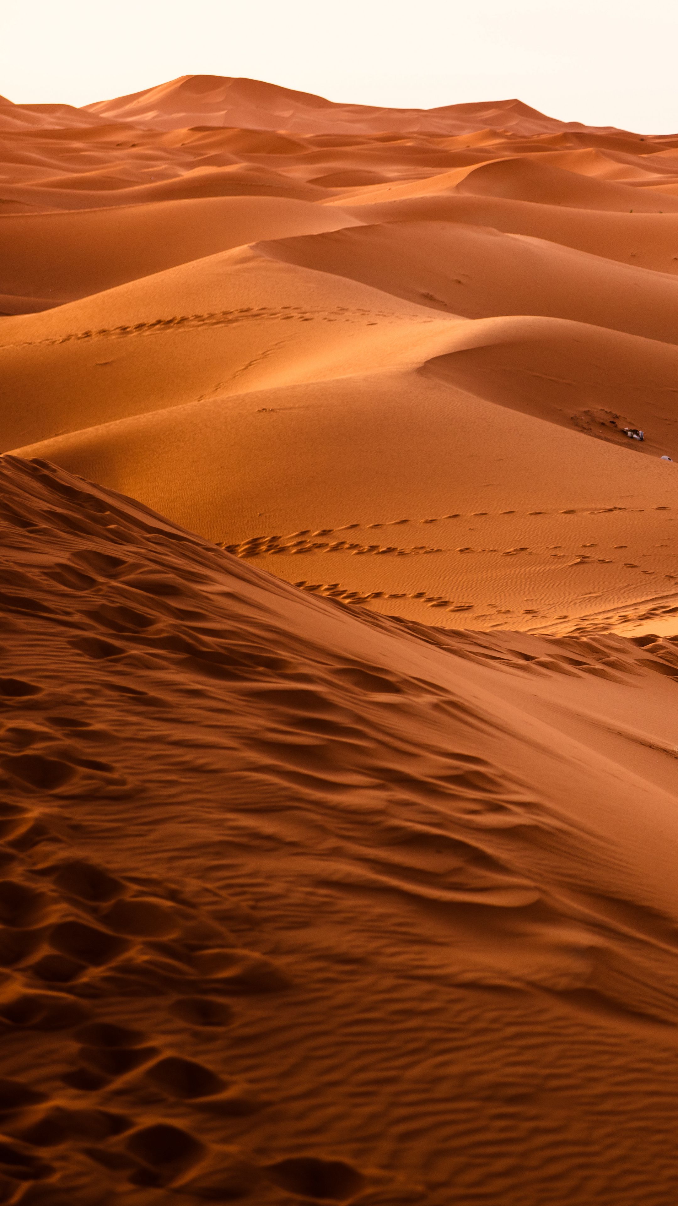 General 2160x3840 calm dunes desert wilderness tracks portrait display sand hills