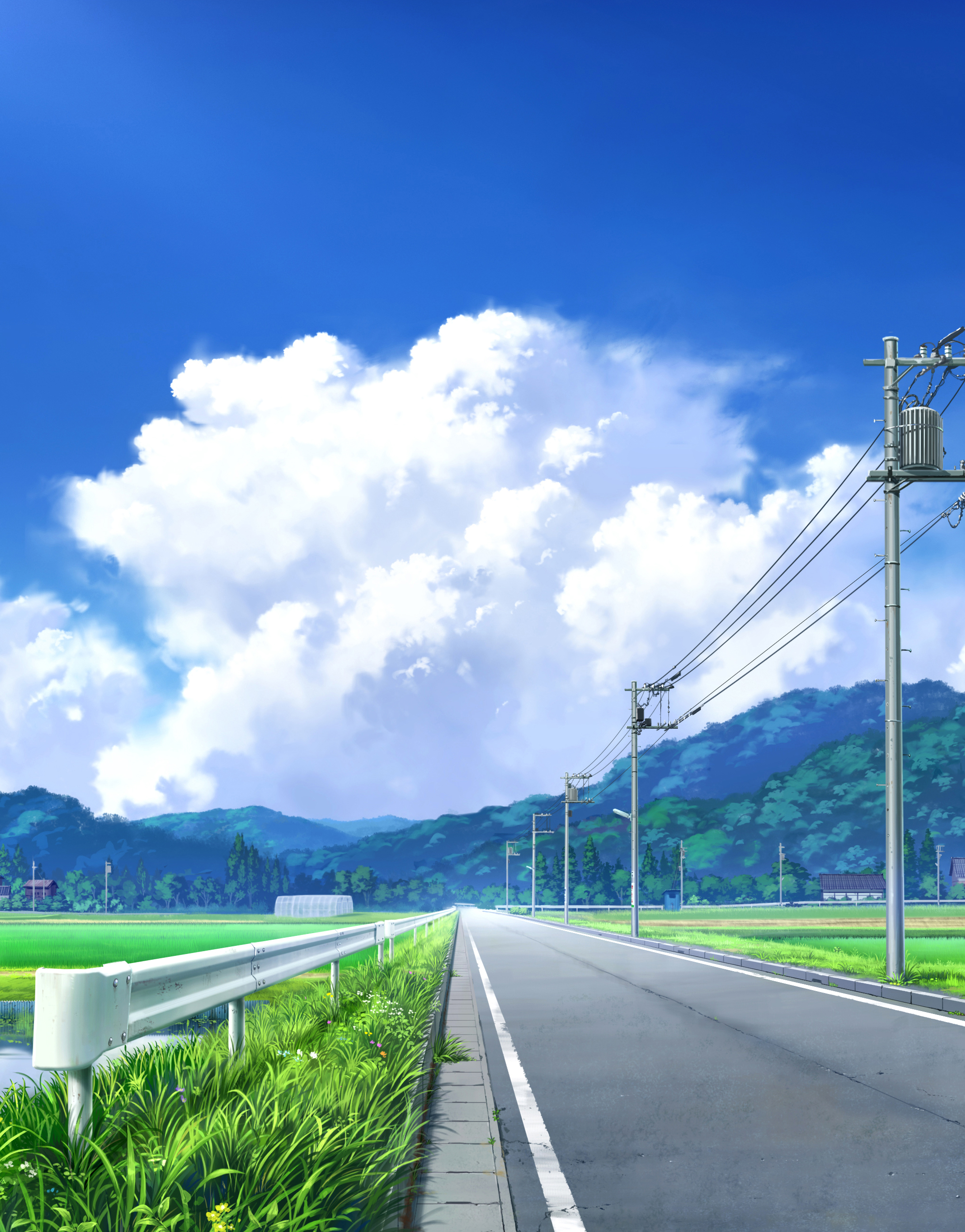 Anime 2027x2588 pei (sumurai) power lines portrait display utility pole road grass clouds sky flowers wires outdoors traffic barrier