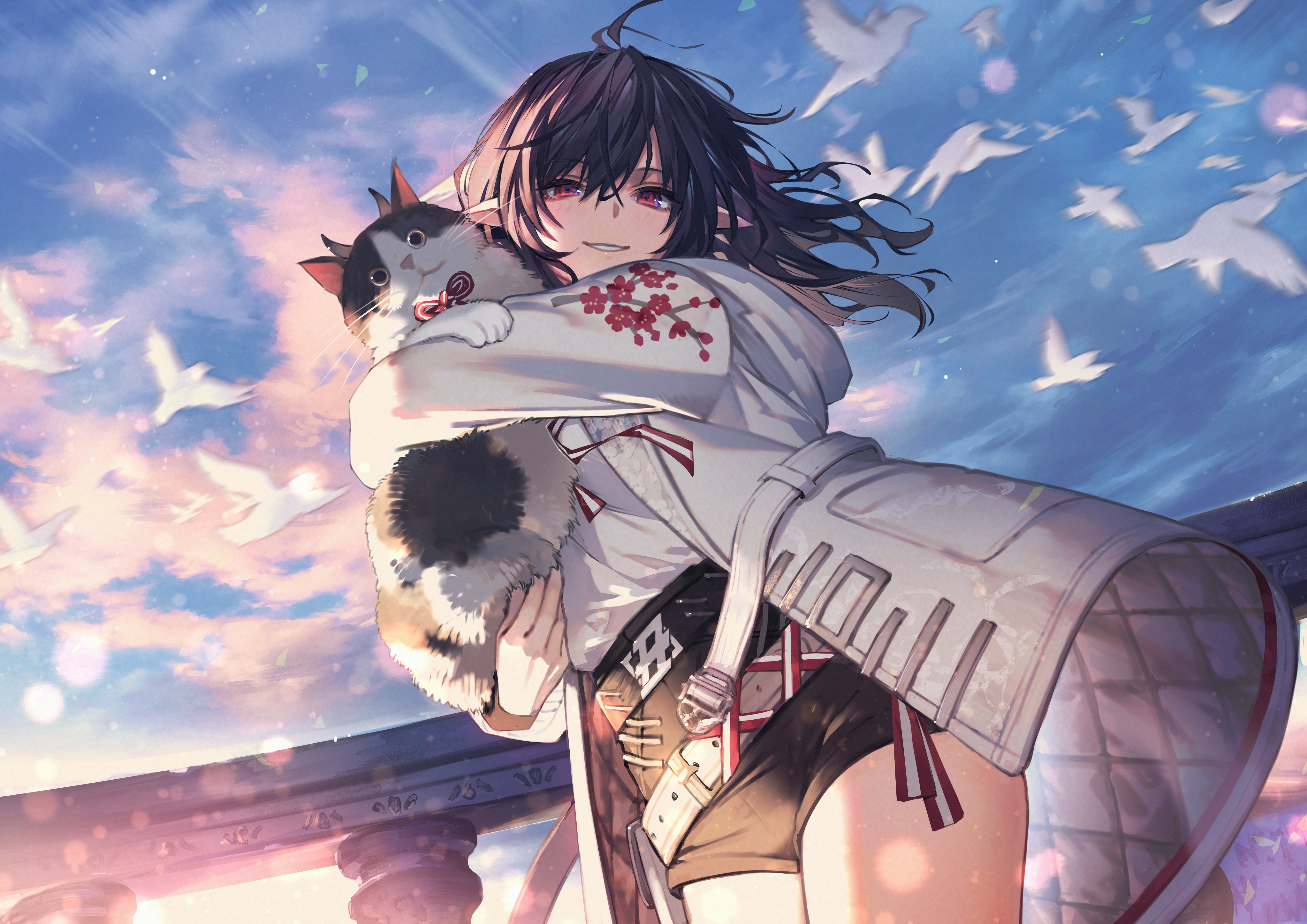Anime 4093x2894 animal ears cat girl feline dark hair red eyes looking at viewer pointy ears anime girls sunset sunset glow sky cats clouds birds animals smiling long hair sunlight shorts thighs