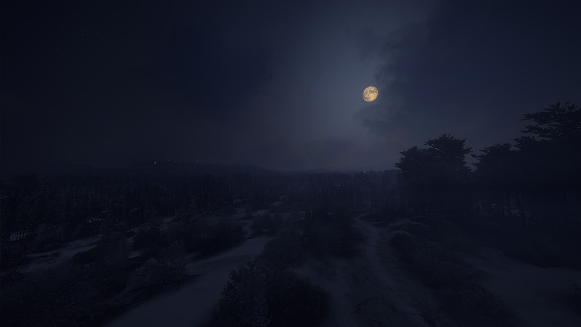General 1920x1080 theHunter: Call of the Wild screen shot wilderness trees landscape snow night clouds video game art video games Moon
