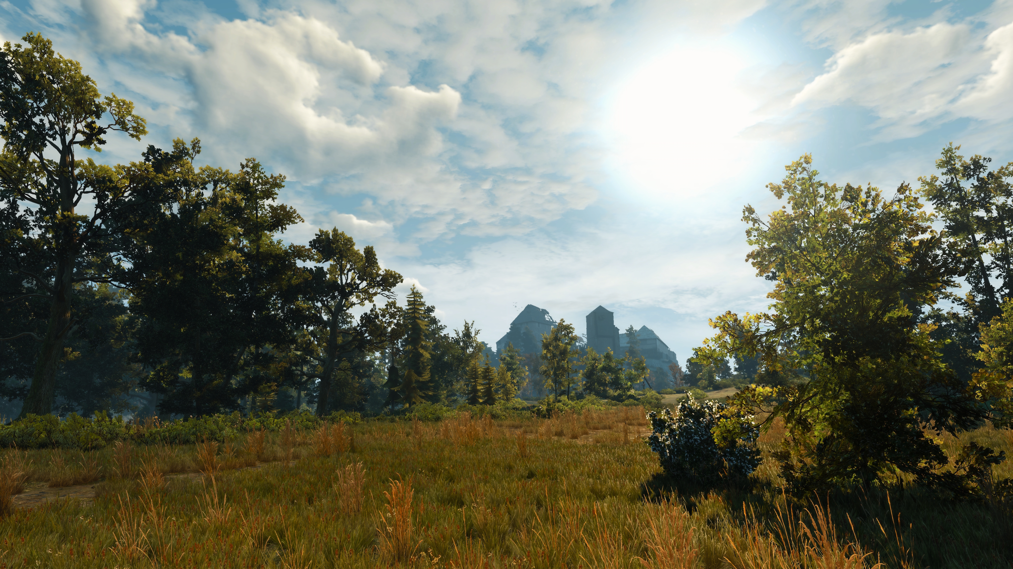 General 3840x2160 The Witcher 3: Wild Hunt screen shot PC gaming Geralt of Rivia The Witcher video game art digital art video games clouds sky trees sunlight field forest CGI