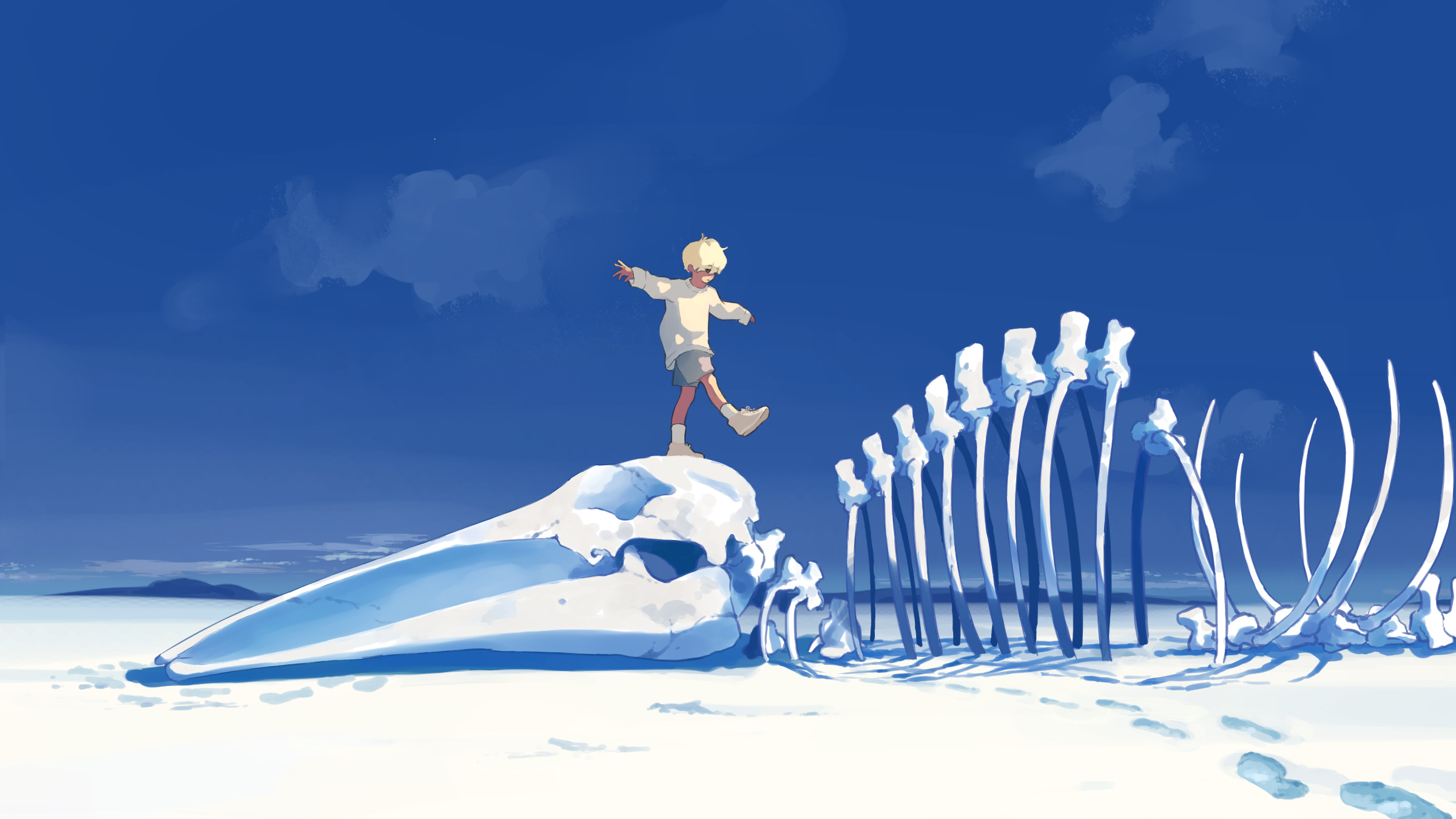 General 2400x1350 Taizo digital art artwork illustration blue bones animals desert sand sky skeleton white socks socks standing on one leg