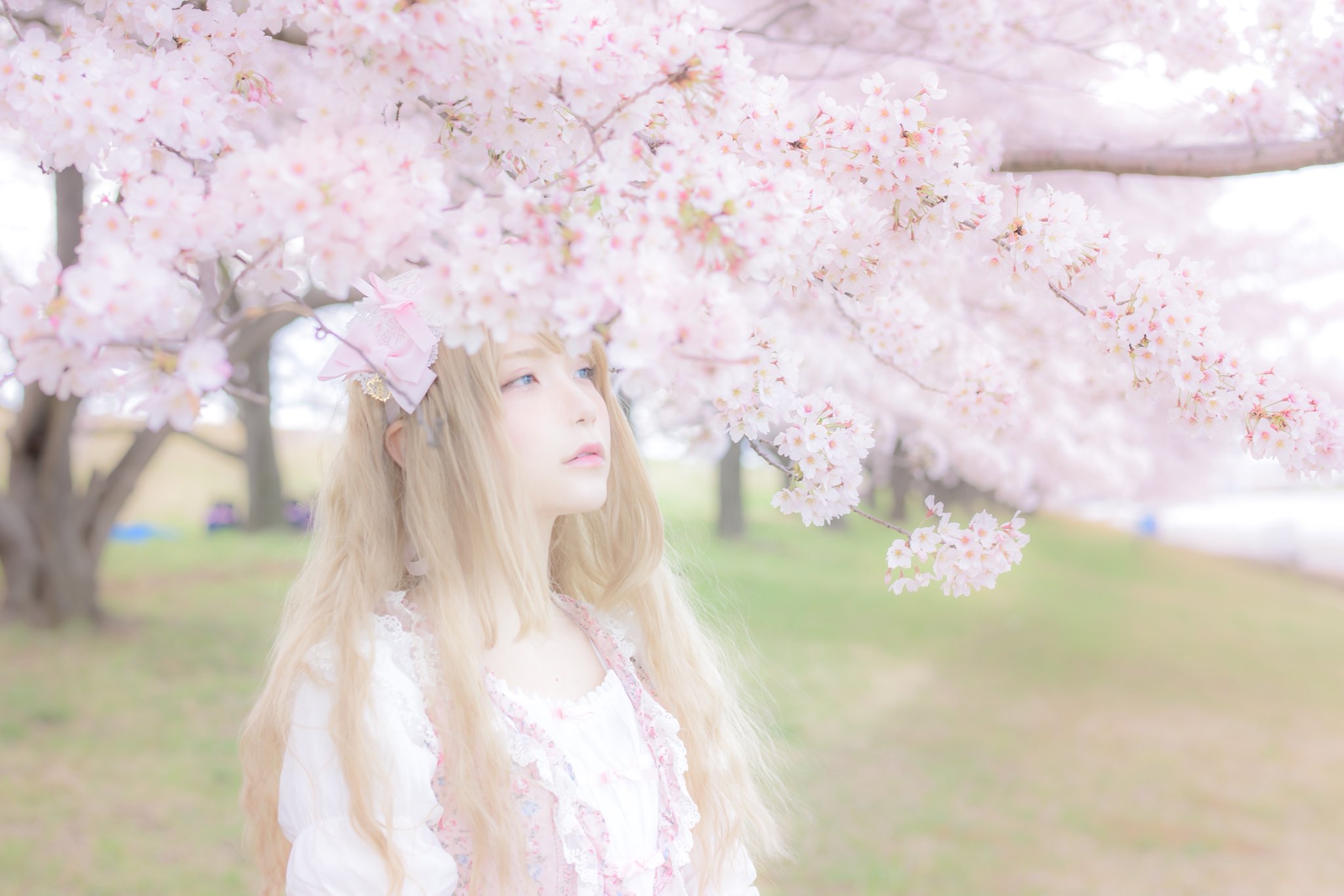 People 2048x1366 cherry blossom Marina Amatsu Asian women model