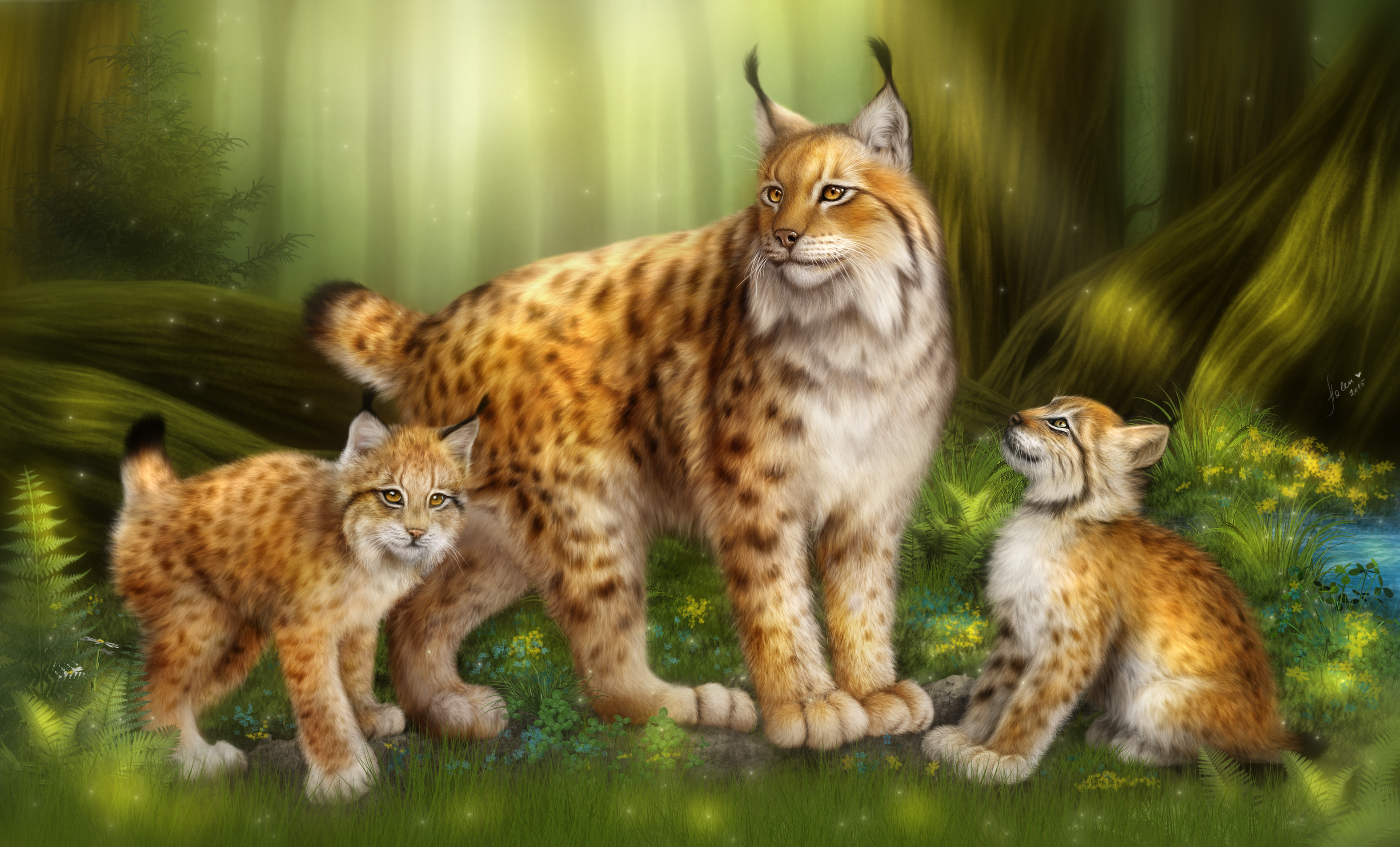 General 3149x1905 lynx big cats forest