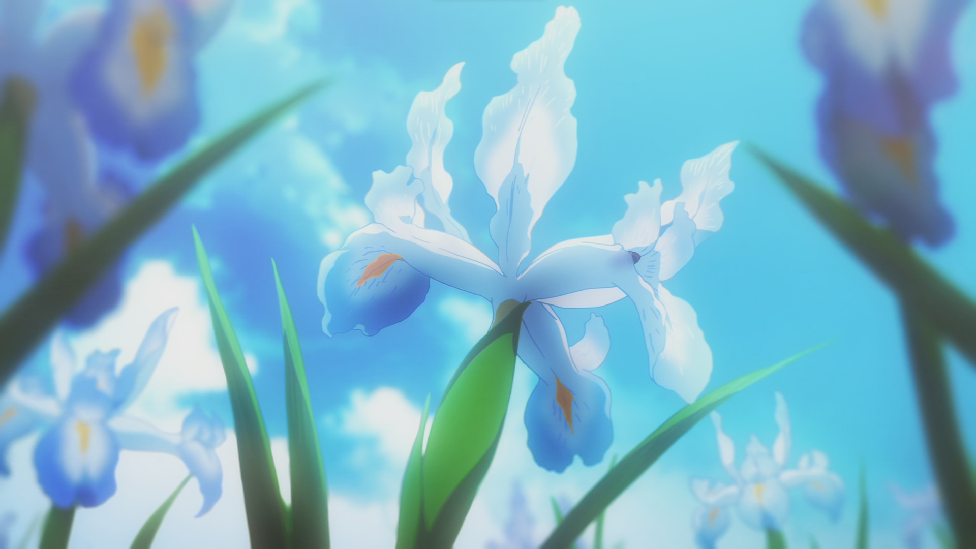 Anime 1920x1080 Violet Evergarden flowers Iris anime anime screenshot