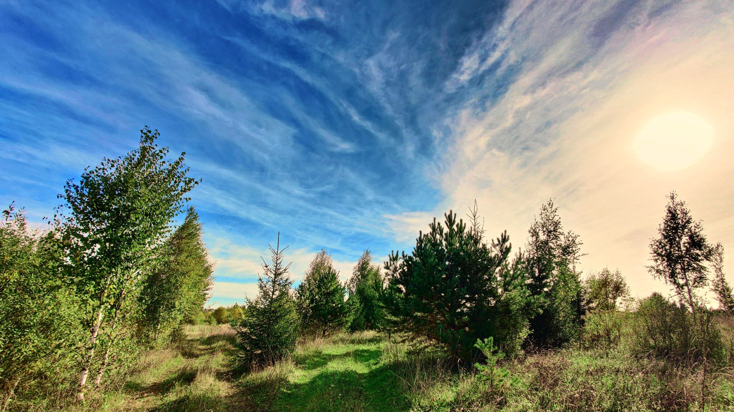 General 2560x1440 landscape morning sky outdoors trees grass panorama wide angle clouds
