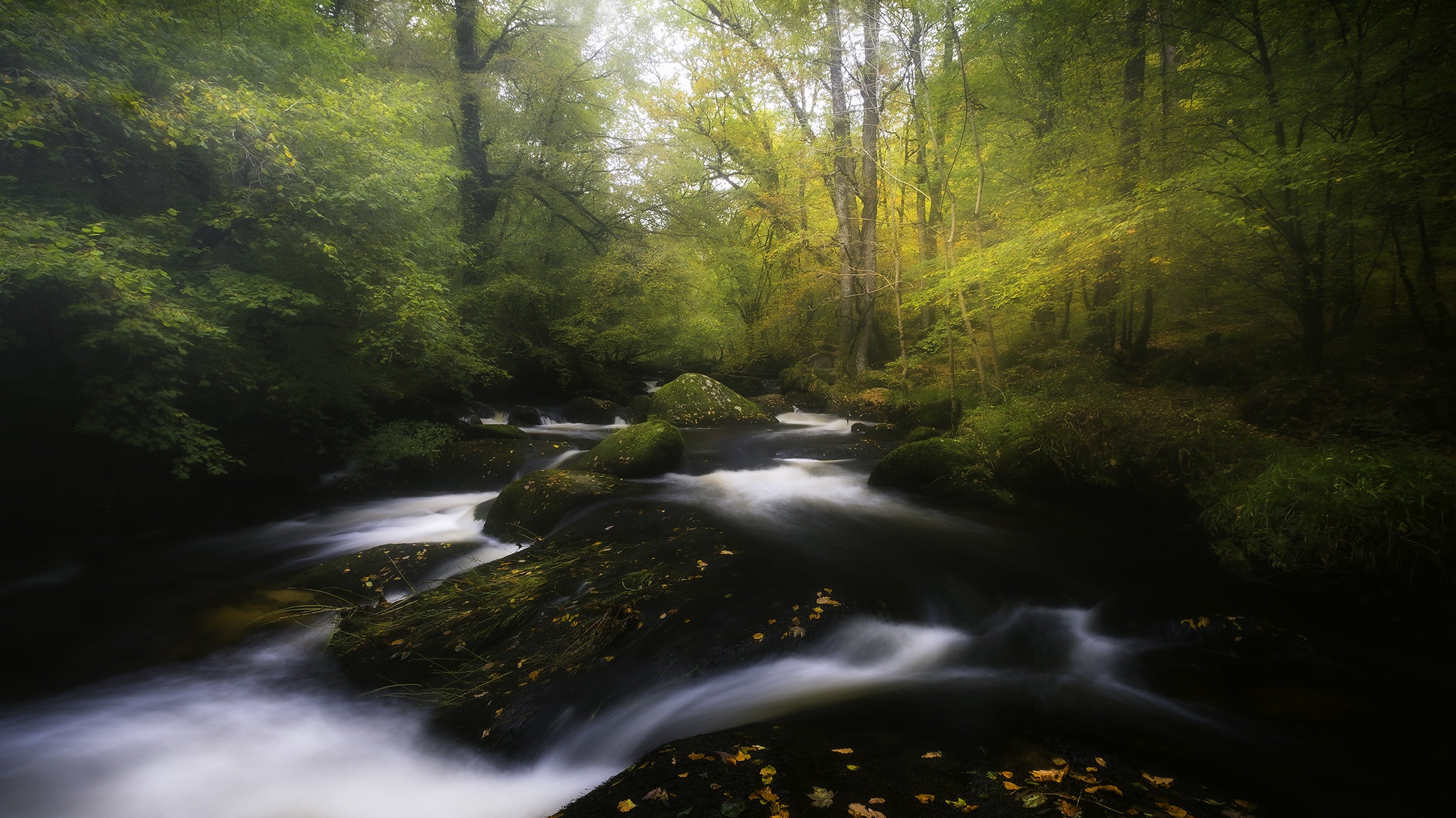 General 2048x1152 outdoors nature trees plants creeks long exposure forest