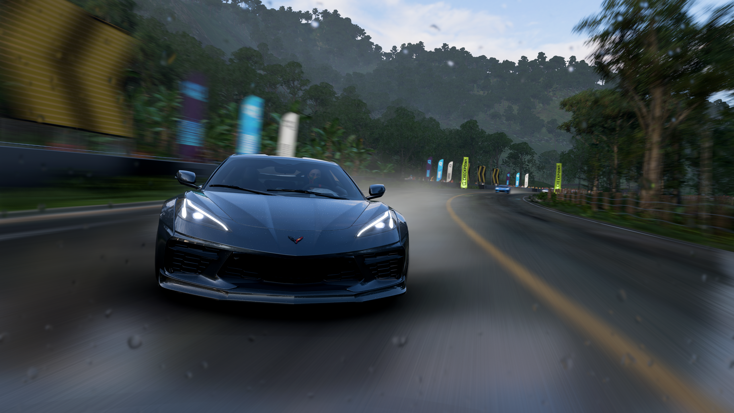 General 2560x1440 screen shot racing road Forza Horizon 5 Chevrolet Corvette C8 rain trees drift video games car