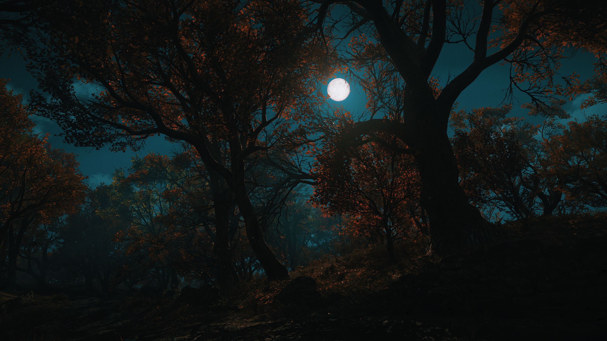General 2560x1440 Assassin's Creed: Valhalla reshade forest full moon fall raven night digital art video games