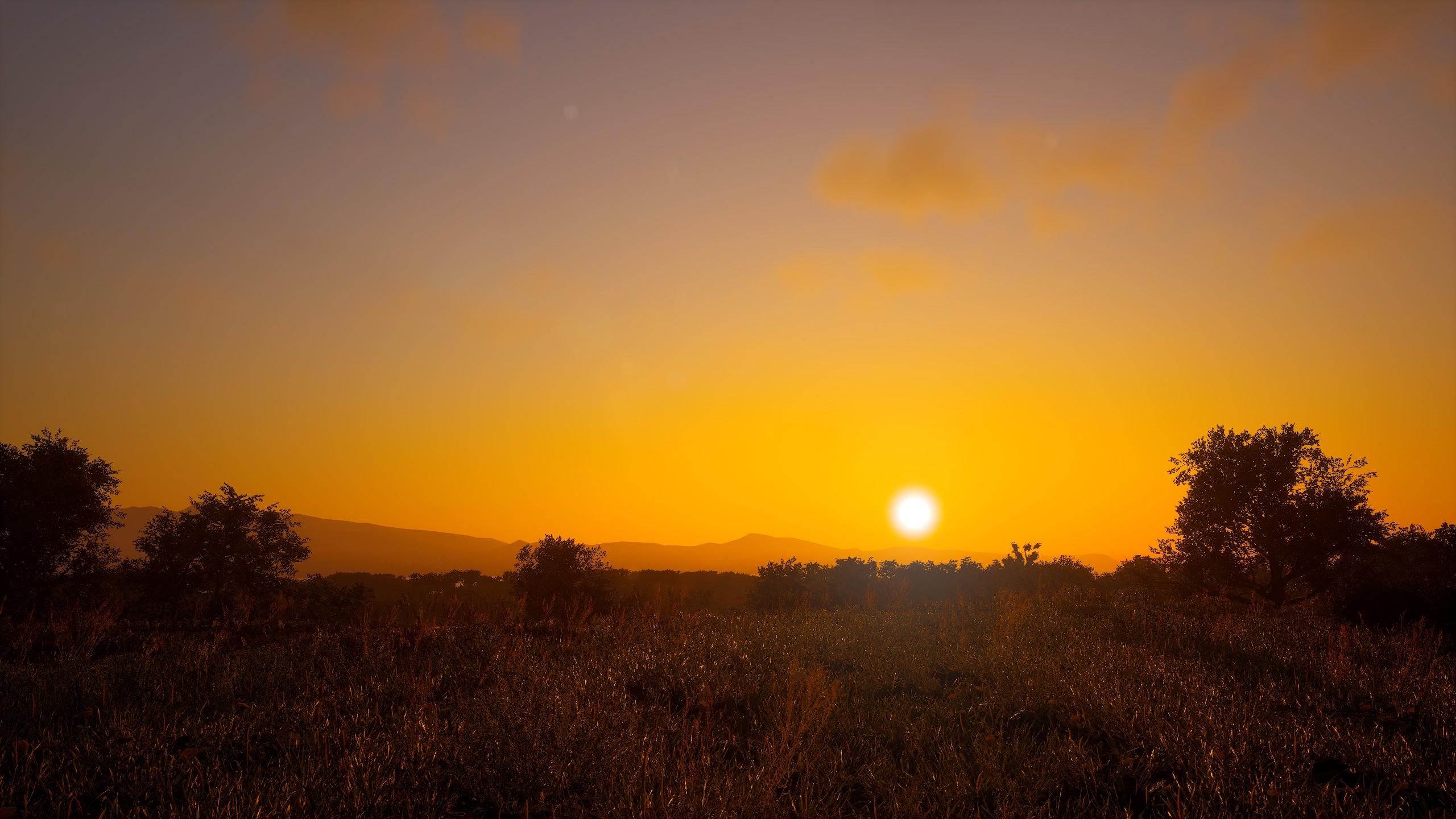 General 2560x1440 video game art digital art landscape sunset SCUM PC Game
