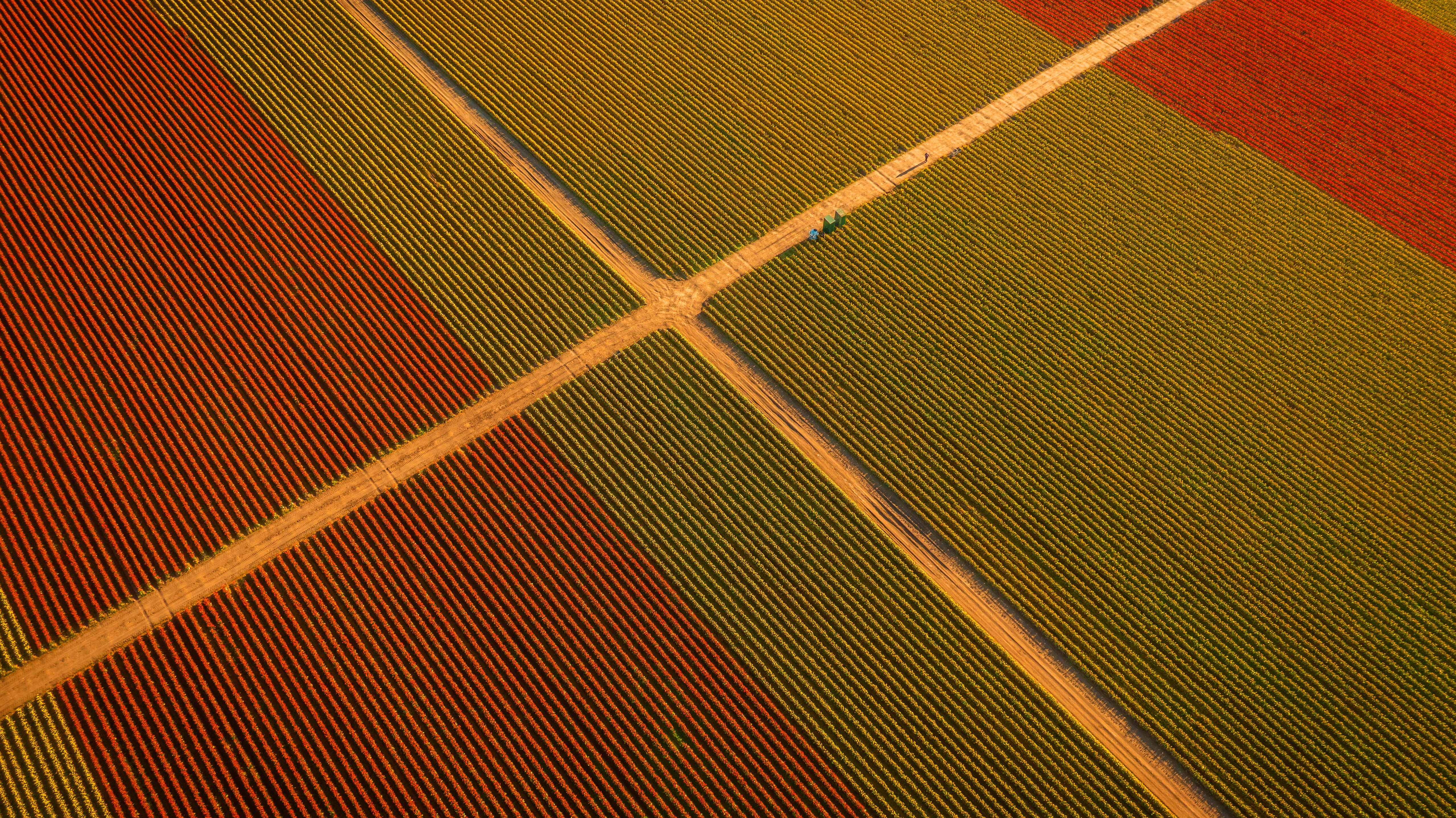 General 5120x2880 nature landscape farm field cabin drone photo aerial view Skagit Valley tulips farm Washington (state) USA Edmund Lowe symmetry