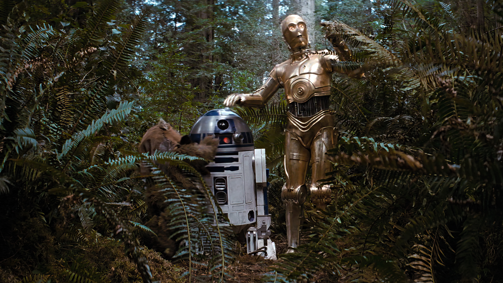 General 1920x1080 Star Wars: Episode VI - The Return of the Jedi movies film stills Star Wars C-3PO R2-D2 robot Ewok plants leaves Endor