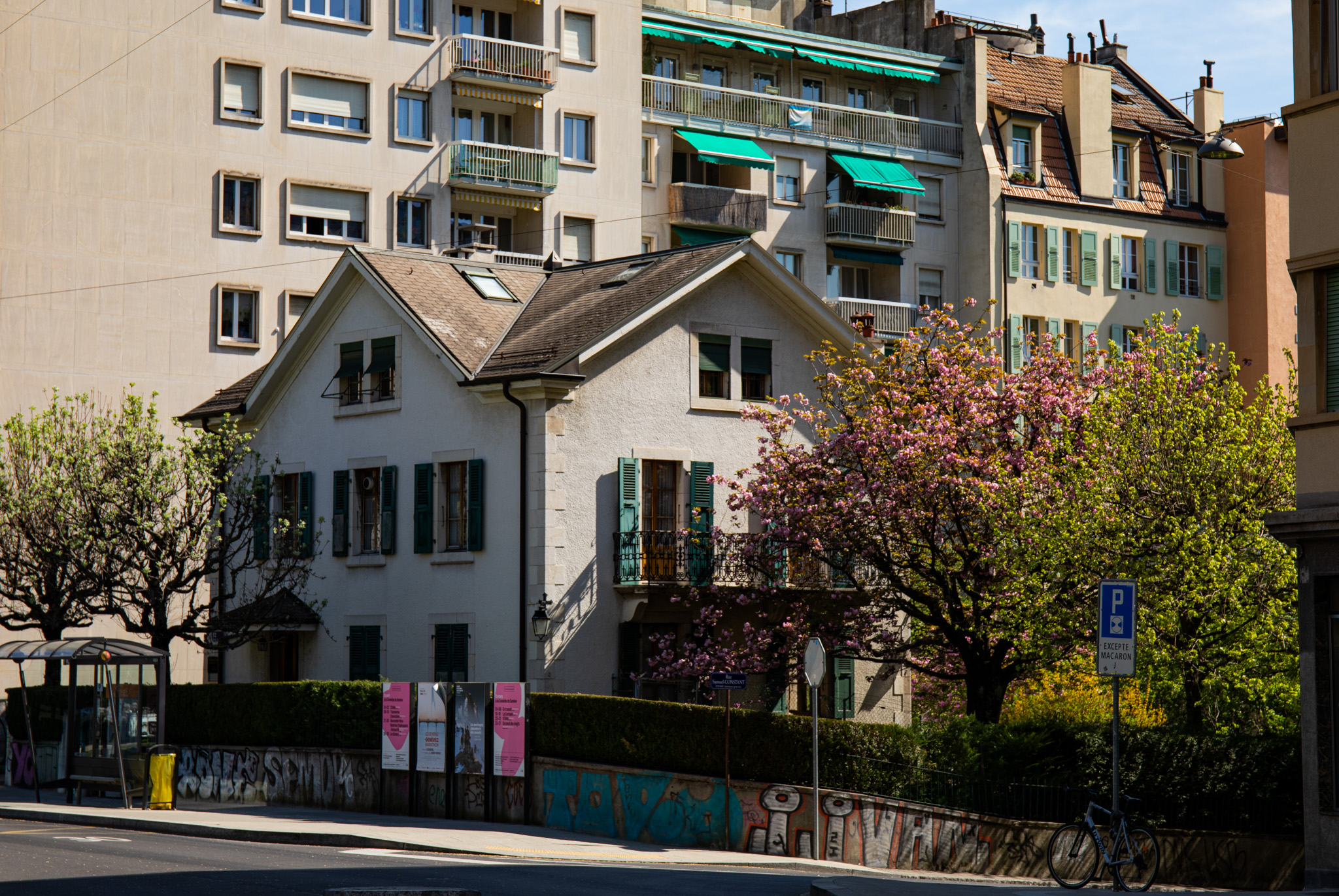 General 2048x1371 photography outdoors nature trees building urban cherry blossom house architecture road city sunlight Geneva