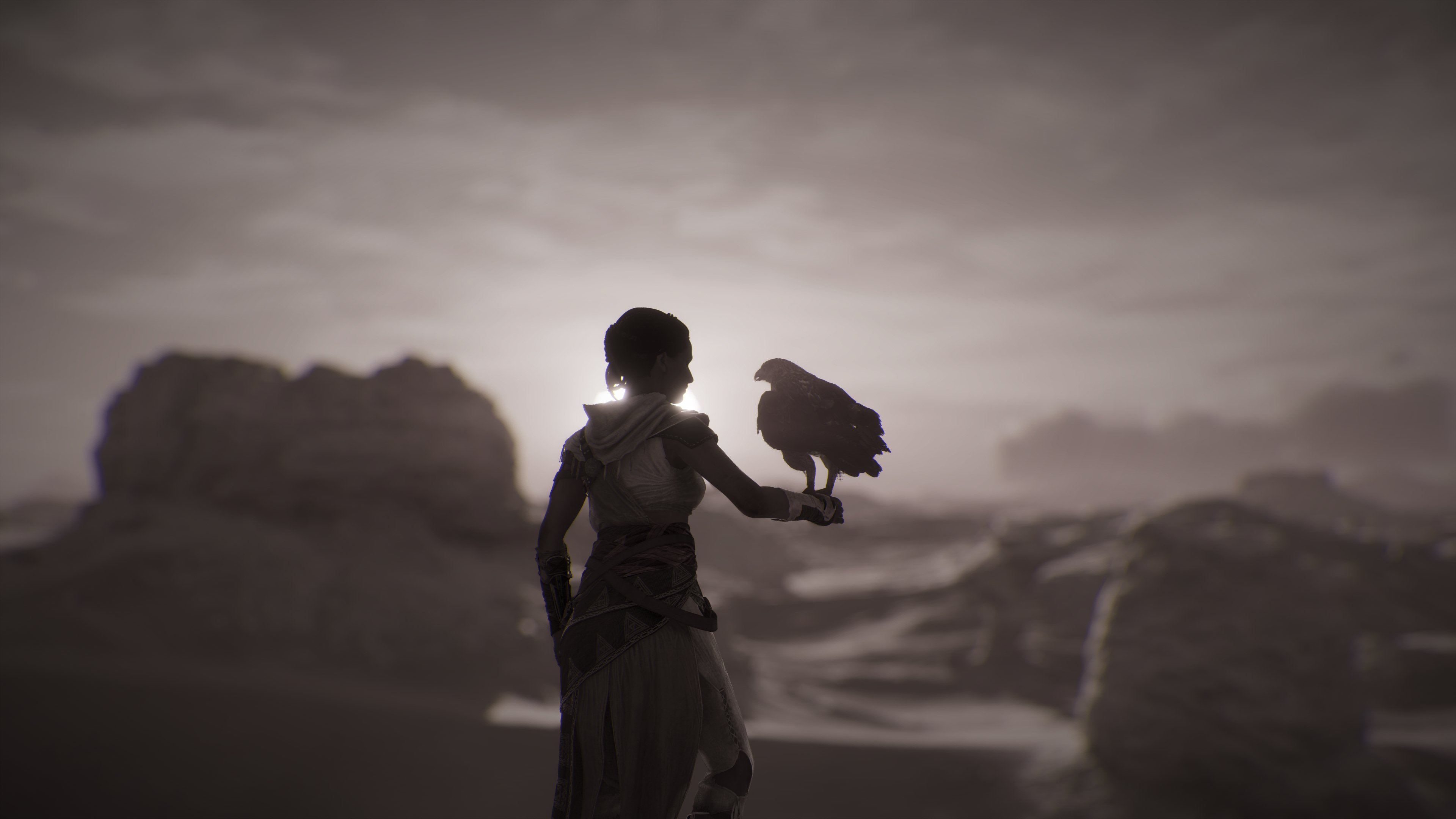 General 3840x2160 Assassin's Creed: Origins Assassin's Creed Sun sunset sunset glow birds animals CGI video game characters sky video game girls clouds video games blurred blurry background Aya