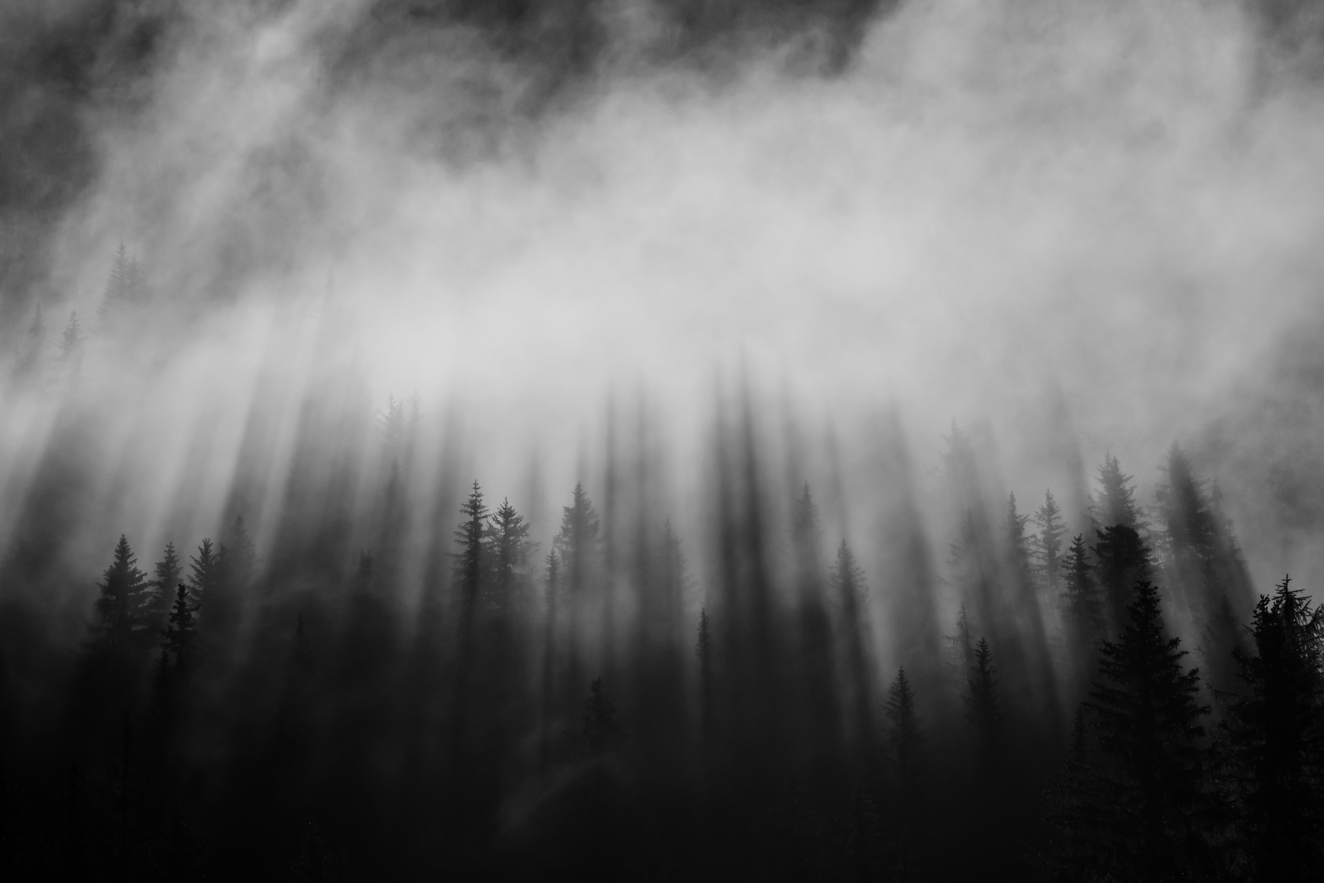 General 4272x2848 dark background film stills simple background trees minimalism mist
