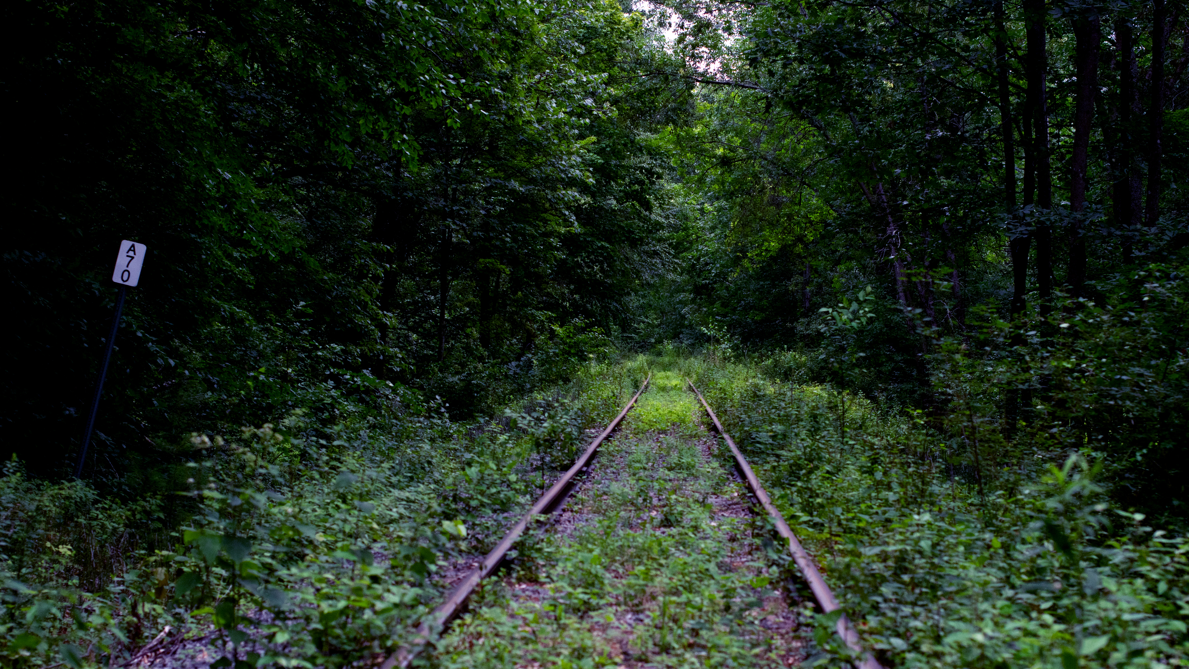 General 3840x2160 railway overgrown abandoned green Kyle Larivee nature