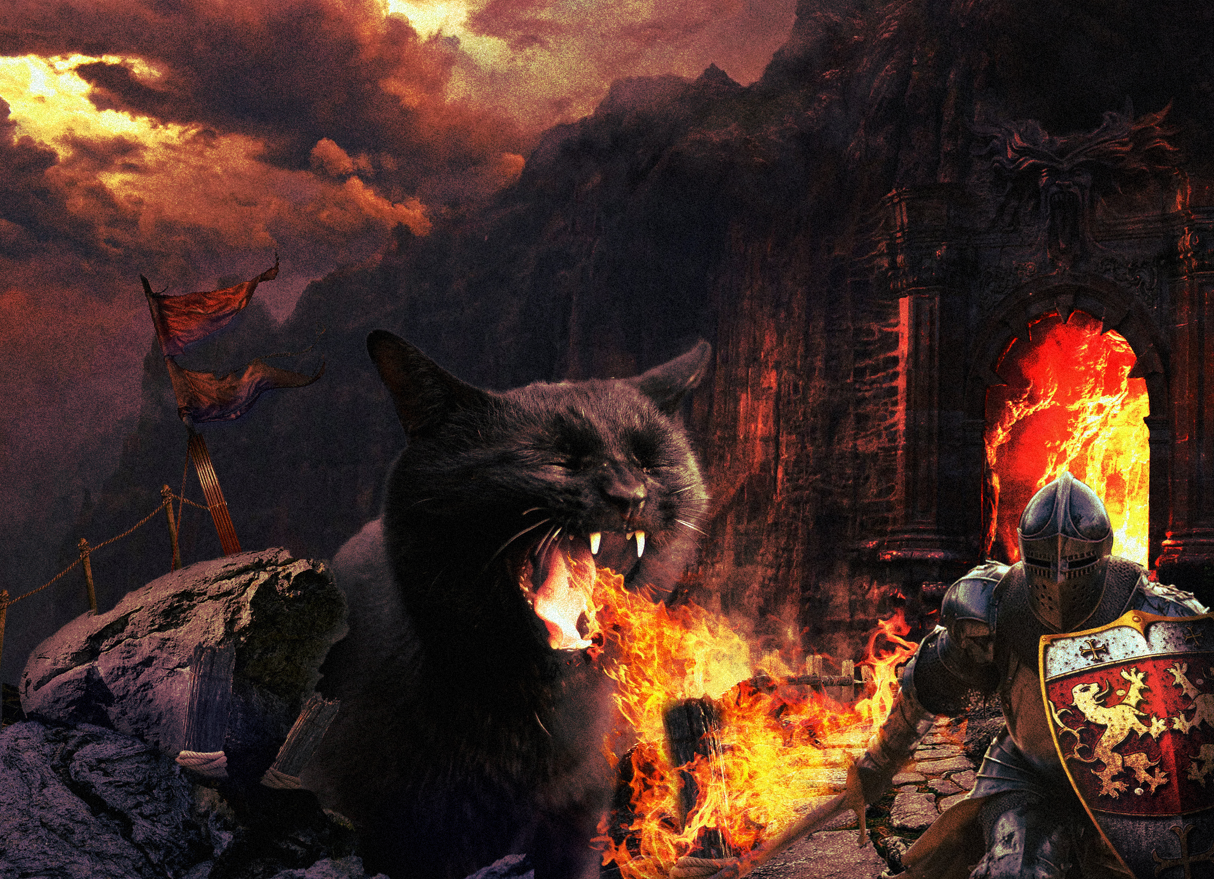 General 2422x1753 humor cats dragon fire knight Dungeons & Dragons Baldur's Gate digital art photoshopped
