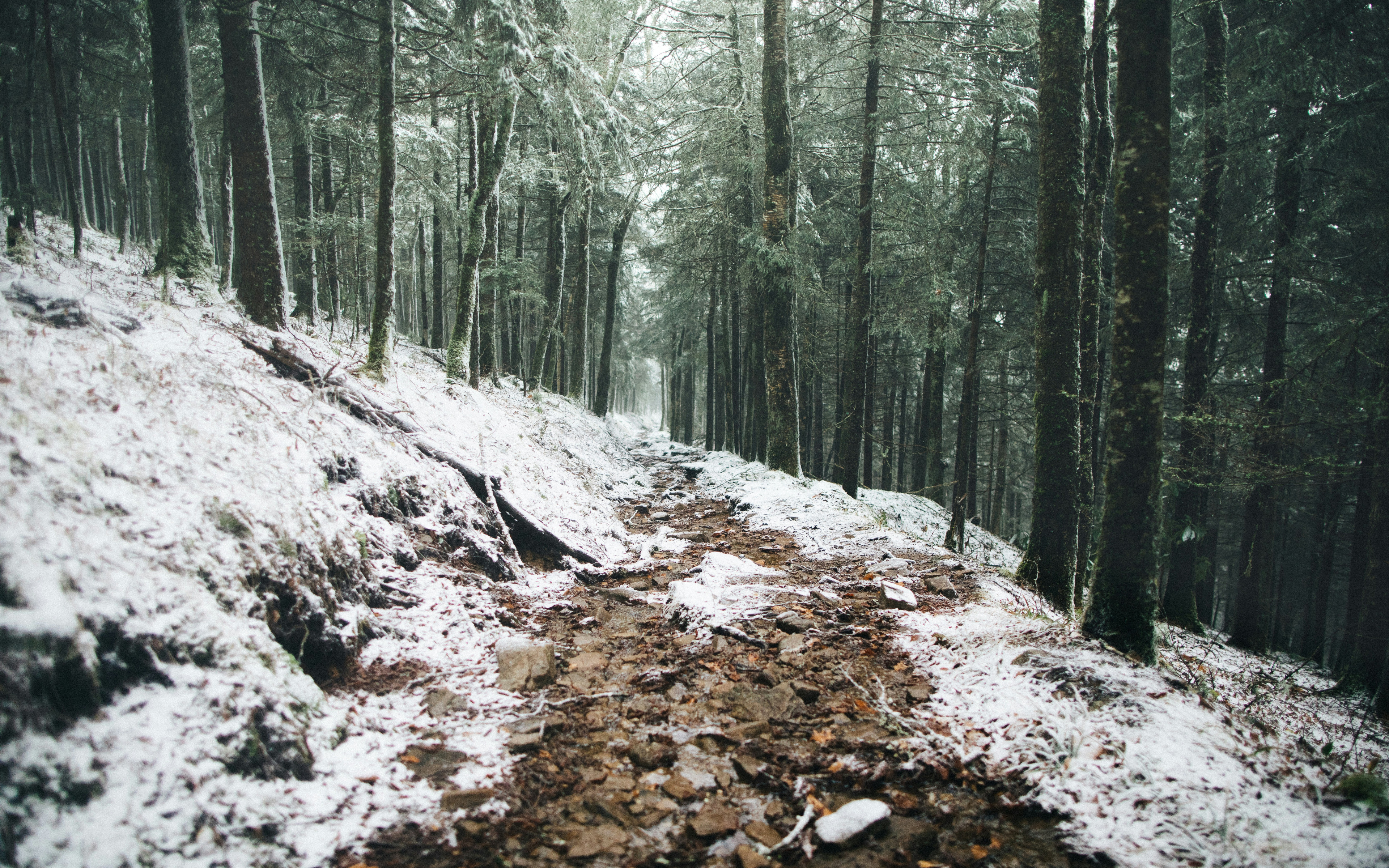 General 3840x2400 nature trees snow dirt road forest winter rocks Great Smoky Mountains USA Wes Hicks