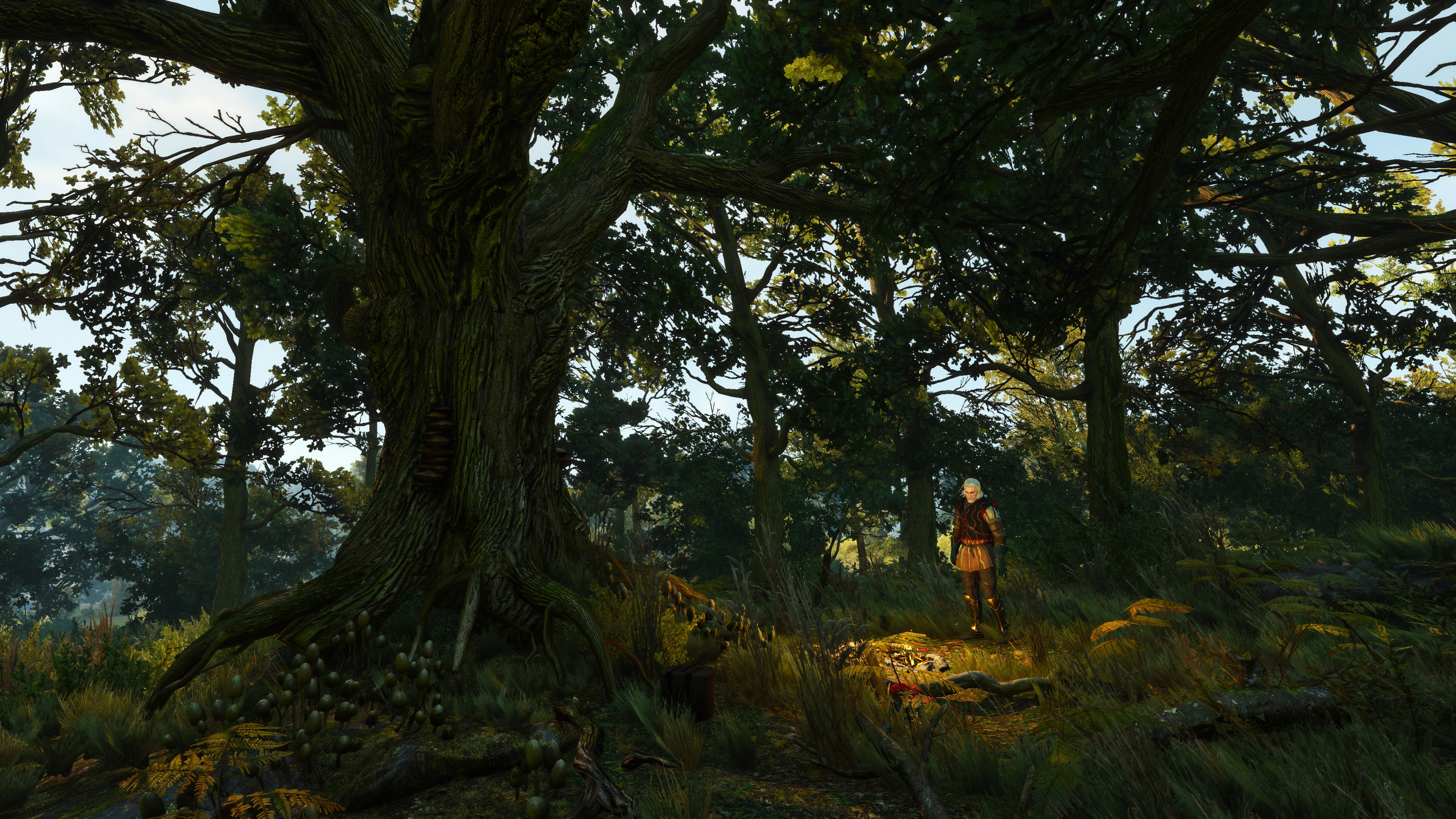 General 3840x2160 The Witcher 3: Wild Hunt PC gaming screen shot forest Geralt of Rivia video game art sunlight video games nature video game characters CGI video game men standing trees mushroom plants