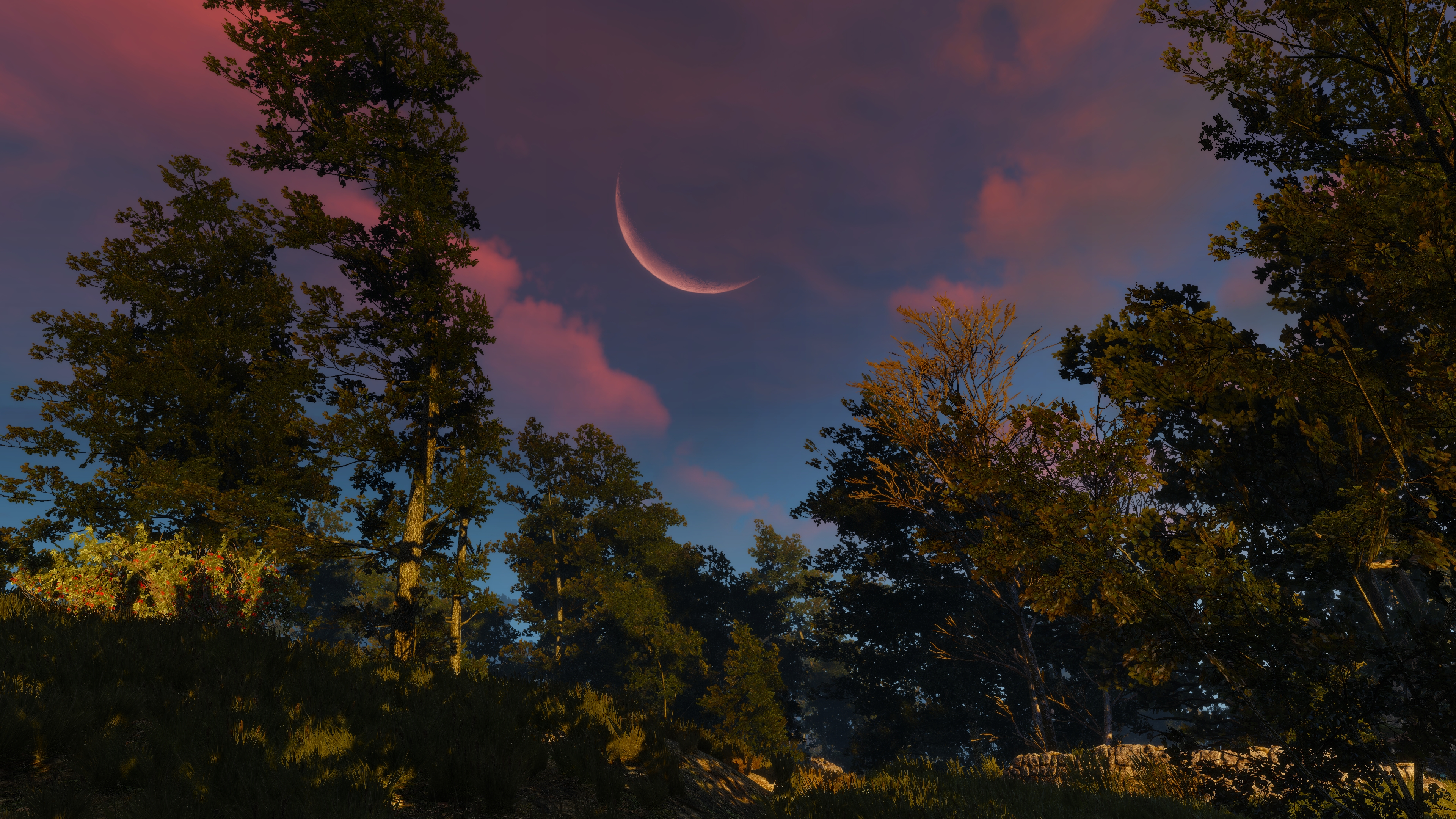 General 3840x2160 The Witcher 3: Wild Hunt screen shot PC gaming Moon sunset sky video game art clouds video games trees nature outdoors