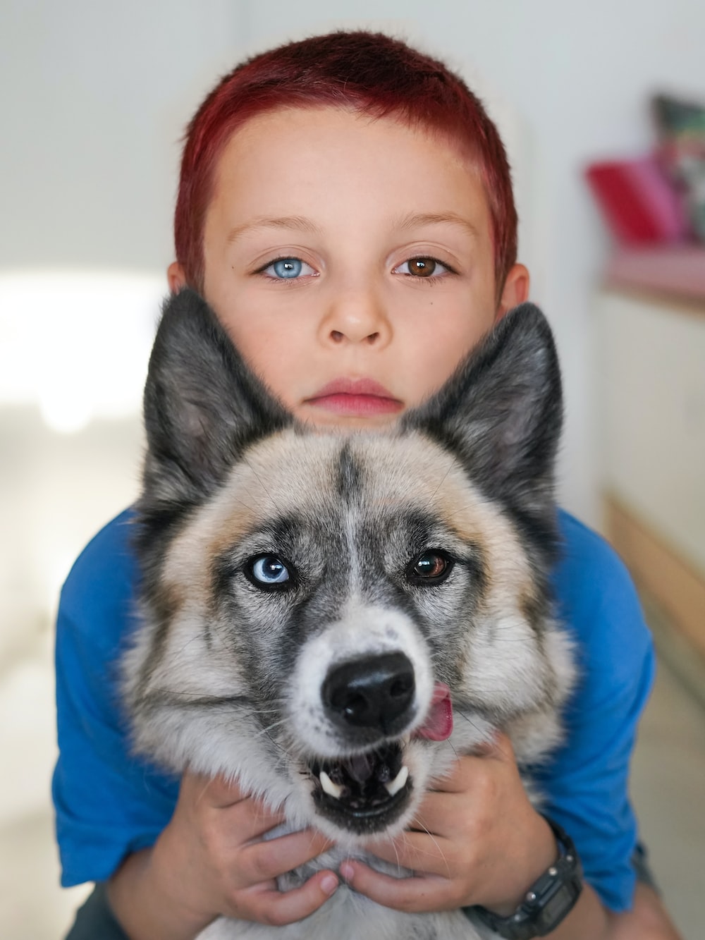 People 1000x1333 dog eyes children heterochromia portrait display