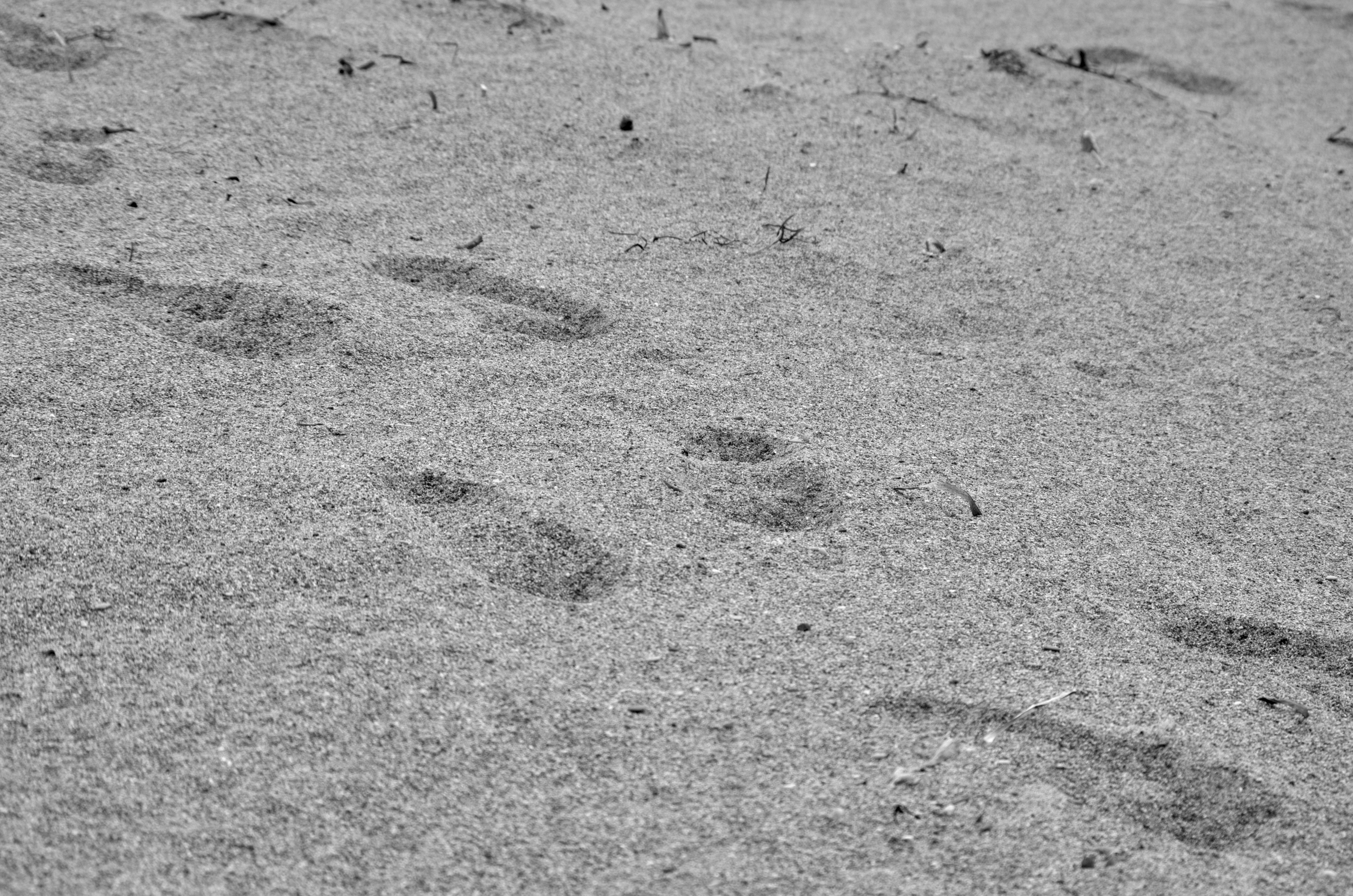 General 4928x3264 monochrome photography sand beach summer foot prints outdoors