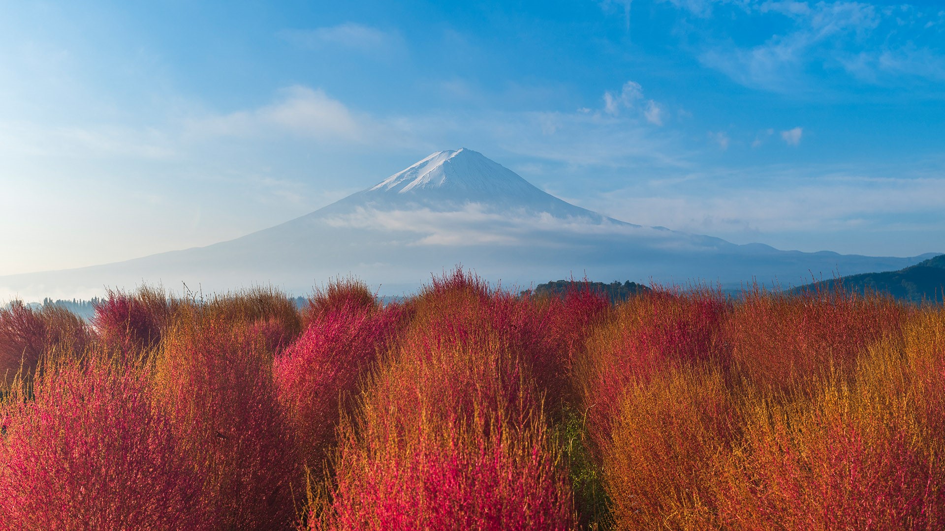 General 1920x1080 nature landscape plants clouds sky mountains sunrise bushes Yamanashi Mount Fuji Japan