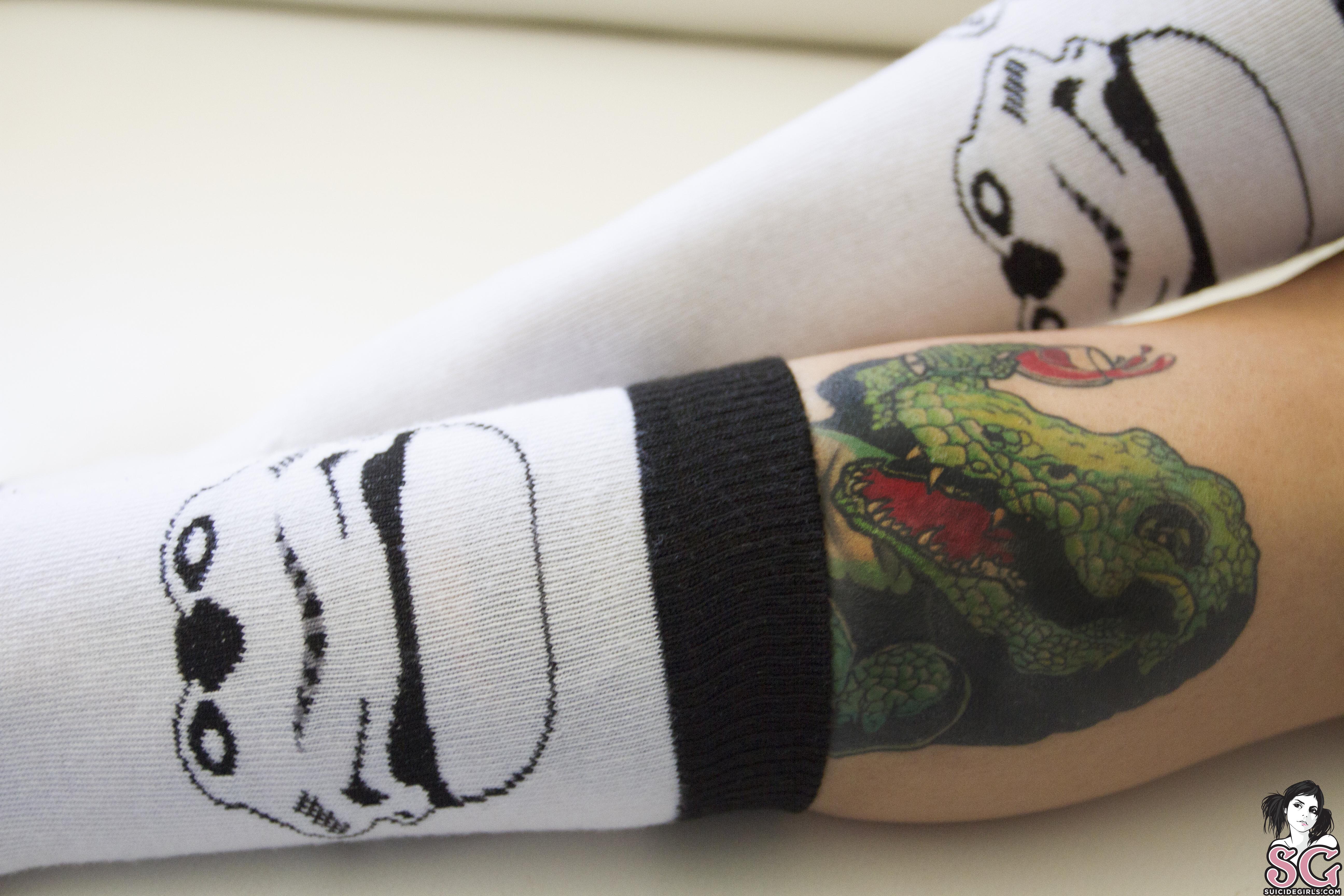 People 5184x3456 Suicide Girls tattoo socks dinosaurs white socks crew socks watermarked women