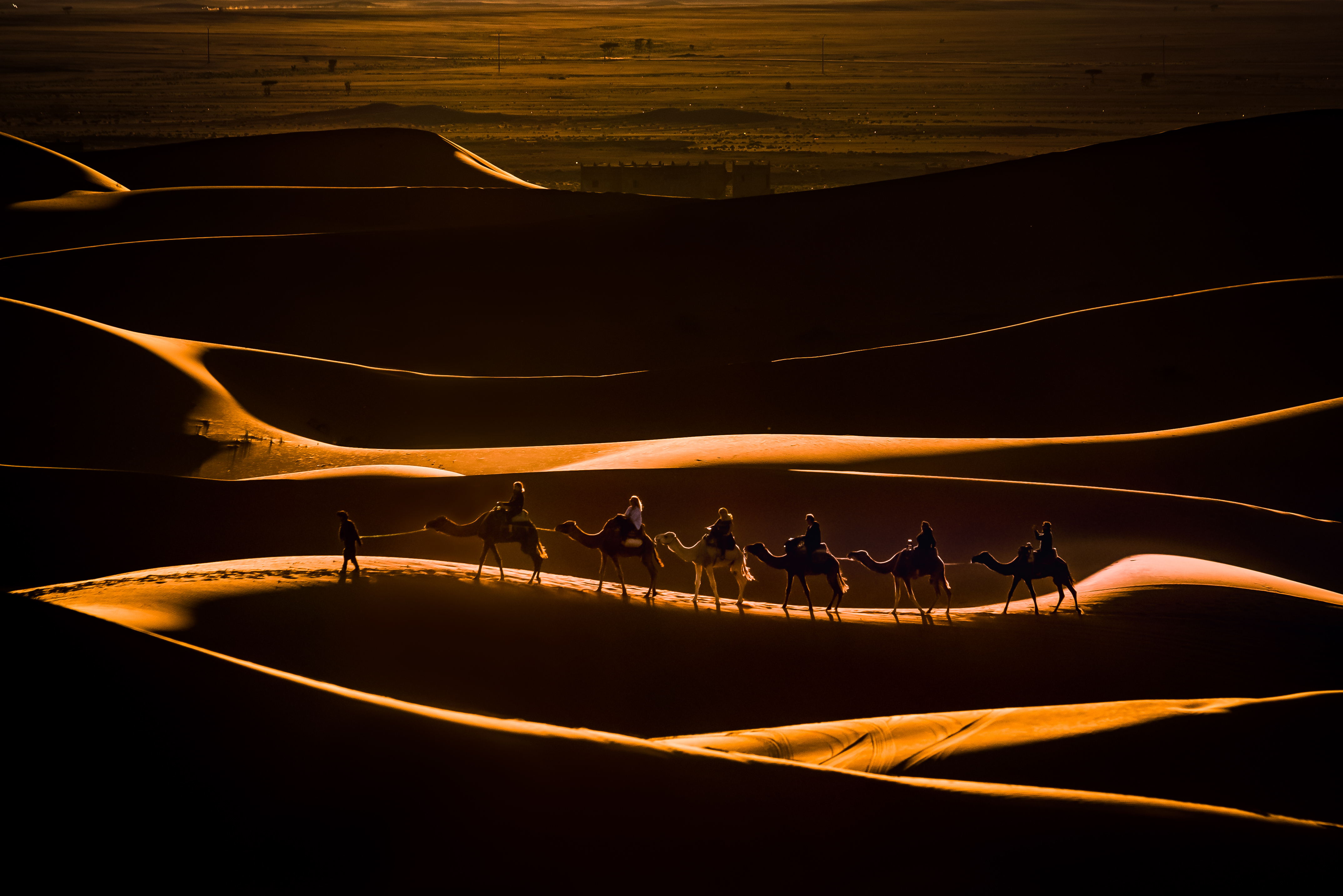 General 4297x2868 sunset camel ride sand dessert nature landscape sun rays