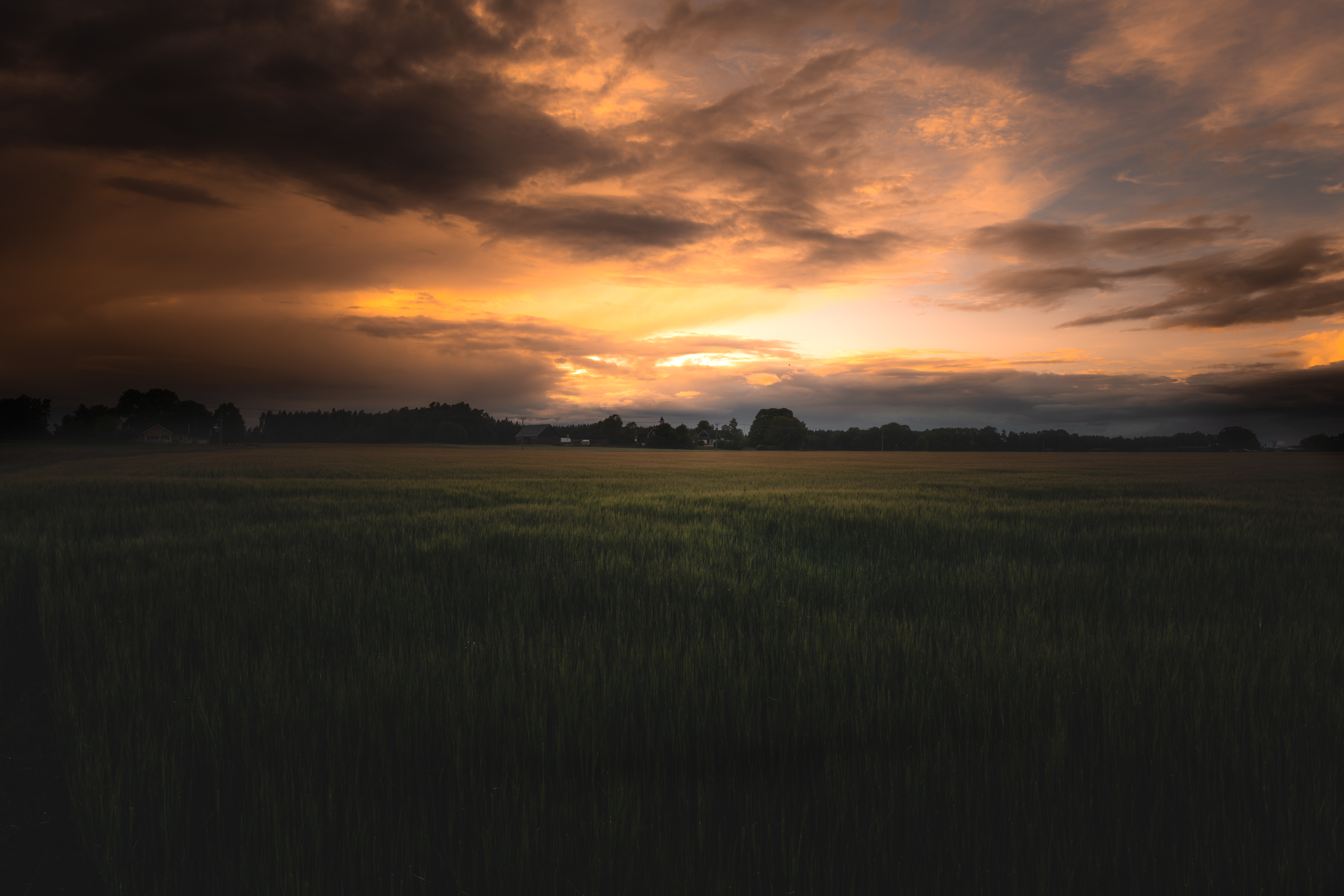 General 8256x5504 sunset landscape field