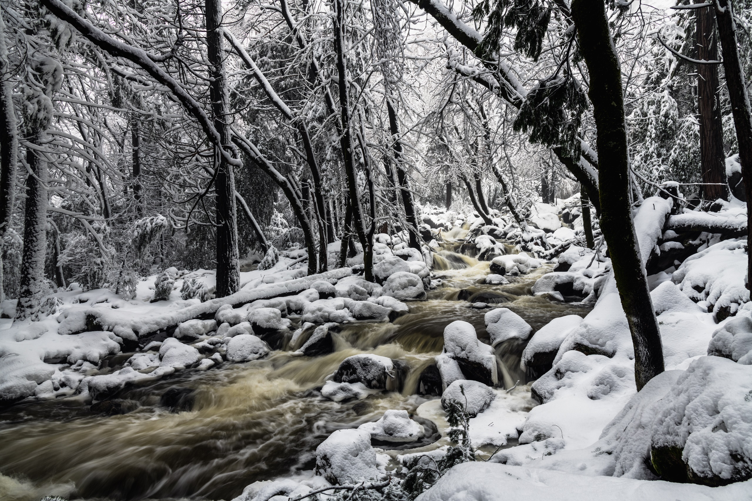 General 2560x1707 winter trees snow nature USA water branch river forest snow covered photography
