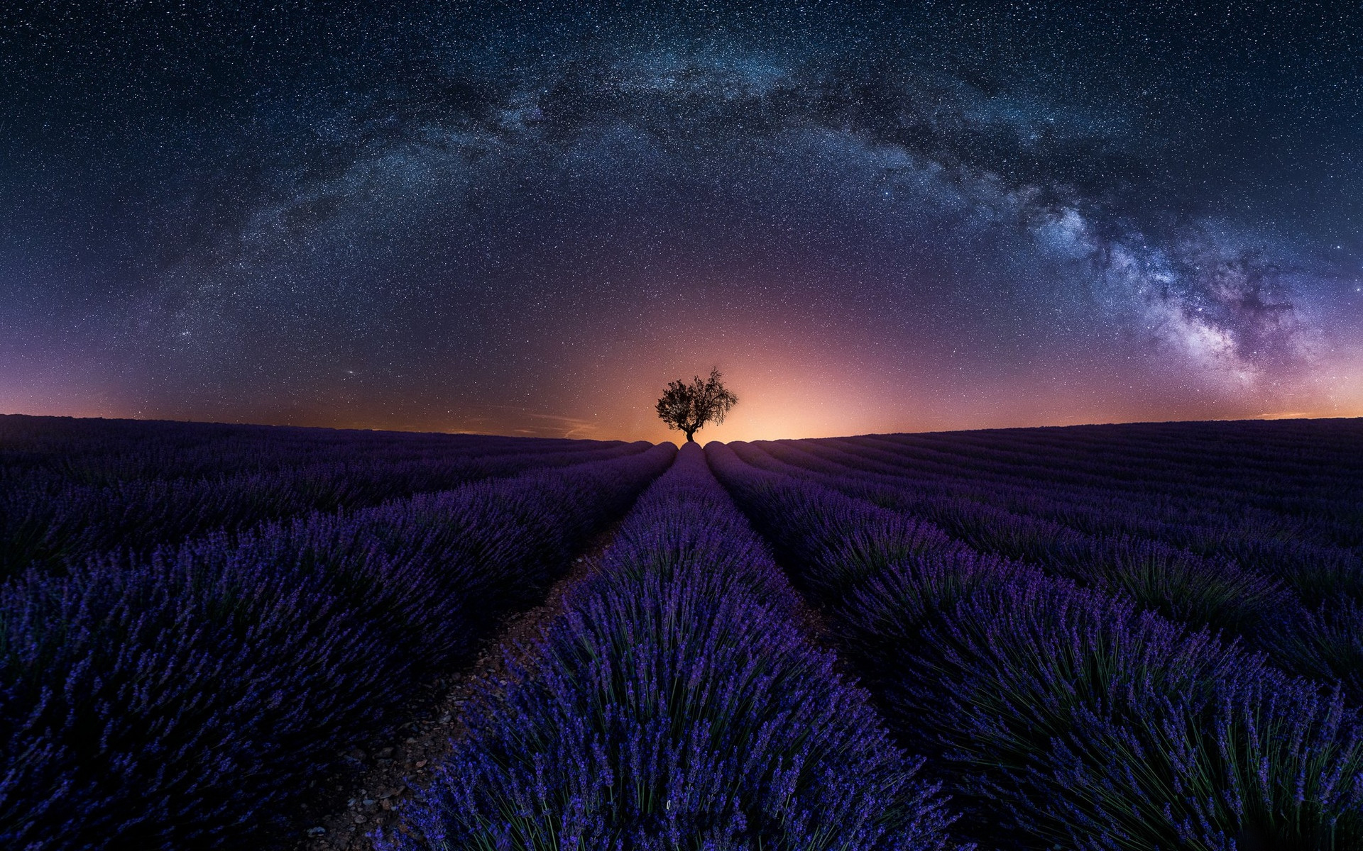 General 1920x1200 sunset lavender field nature landscape France stars