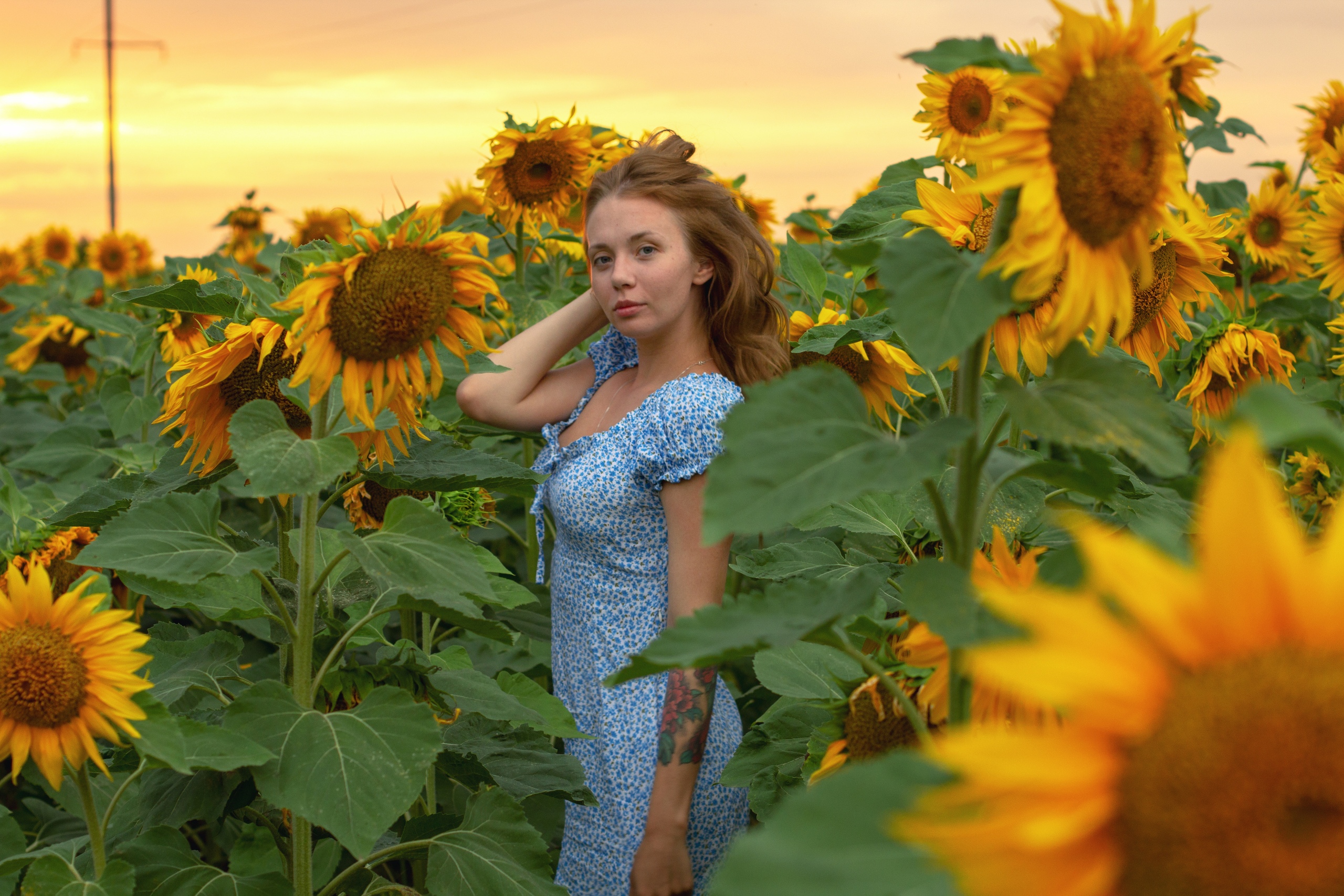People 2560x1707 women model looking at viewer portrait dress yellow flowers sunflowers women outdoors tattoo