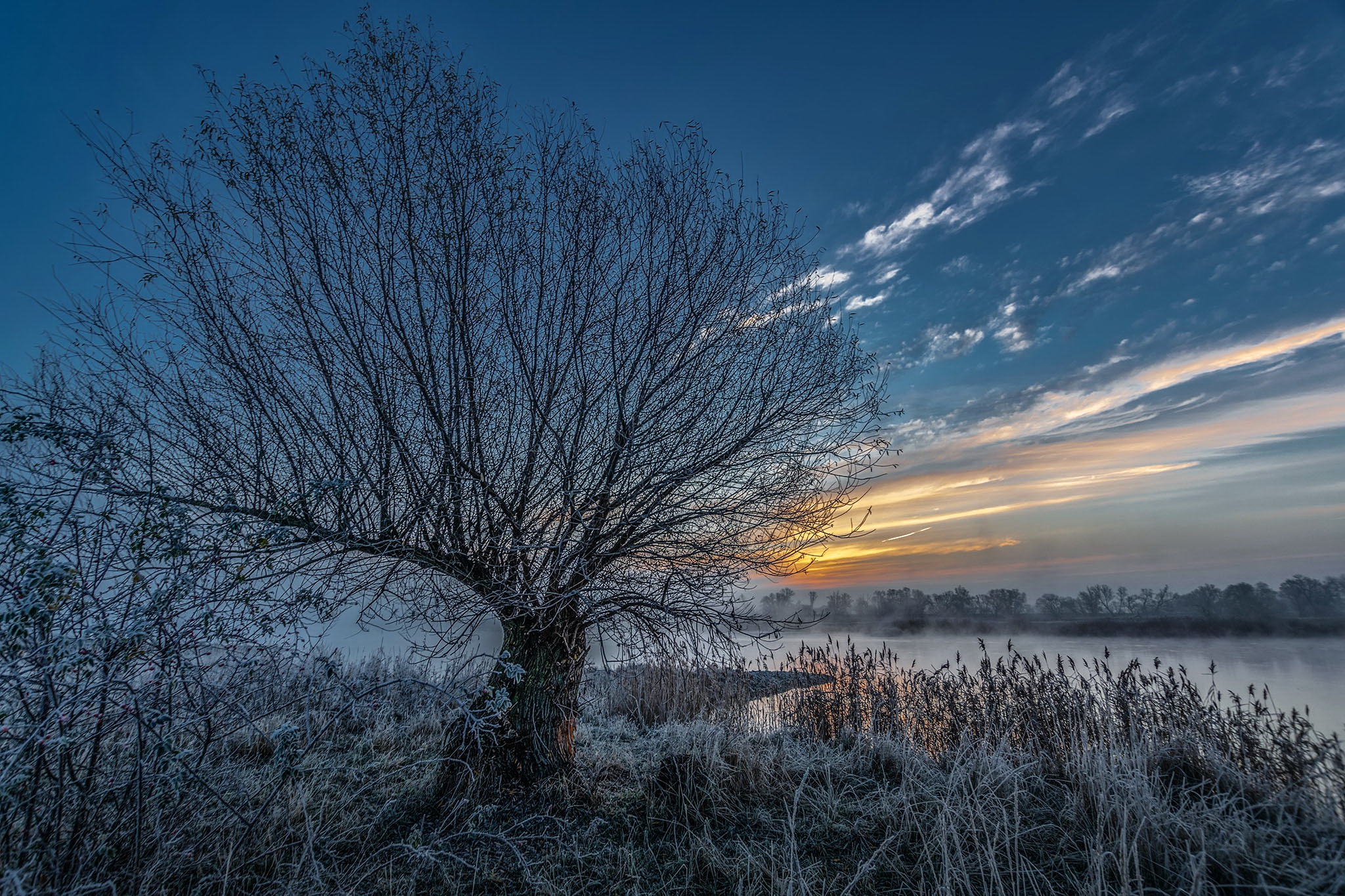 General 2048x1365 nature cold winter sunset outdoors trees