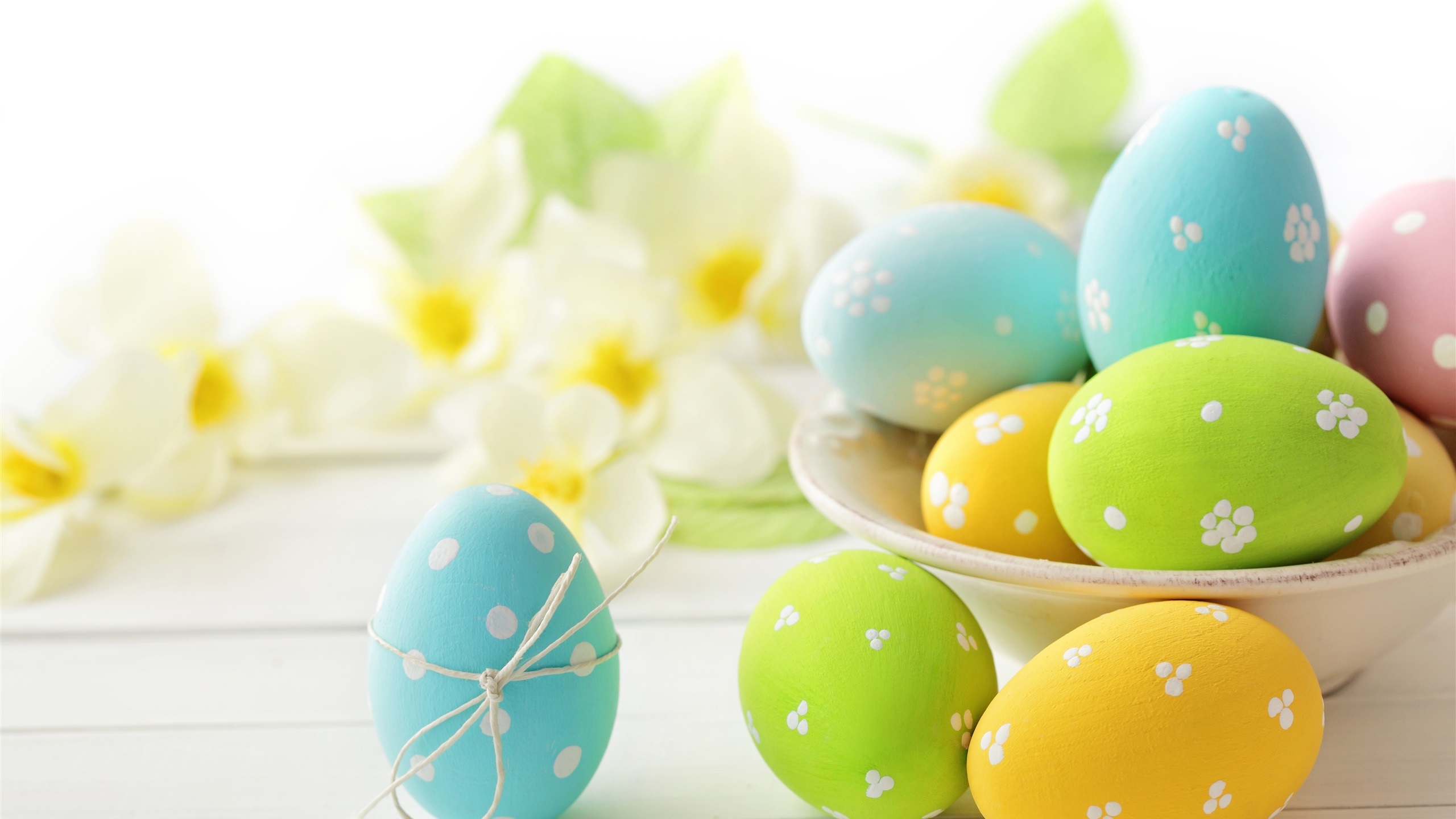 General 2560x1440 eggs easter eggs flowers cup bright colorful closeup
