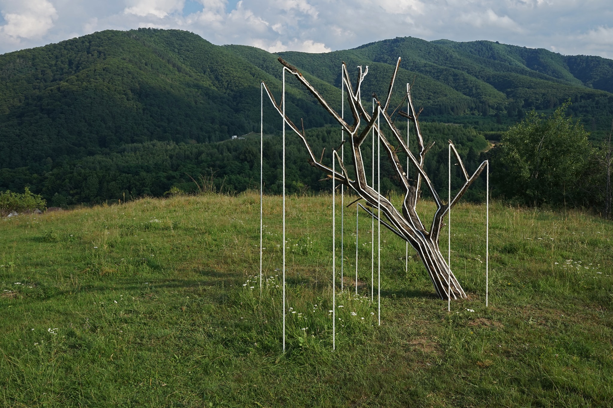 General 2048x1365 nature landscape trees branch wood art installation ropes hills forest grass Patrik Proško Romania Transylvania