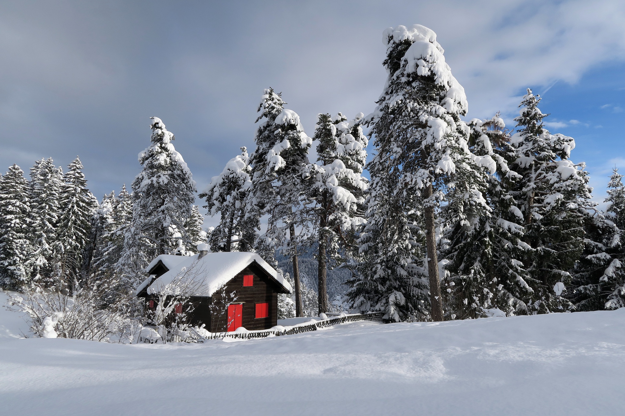 General 2048x1365 winter trees nature snow cabin