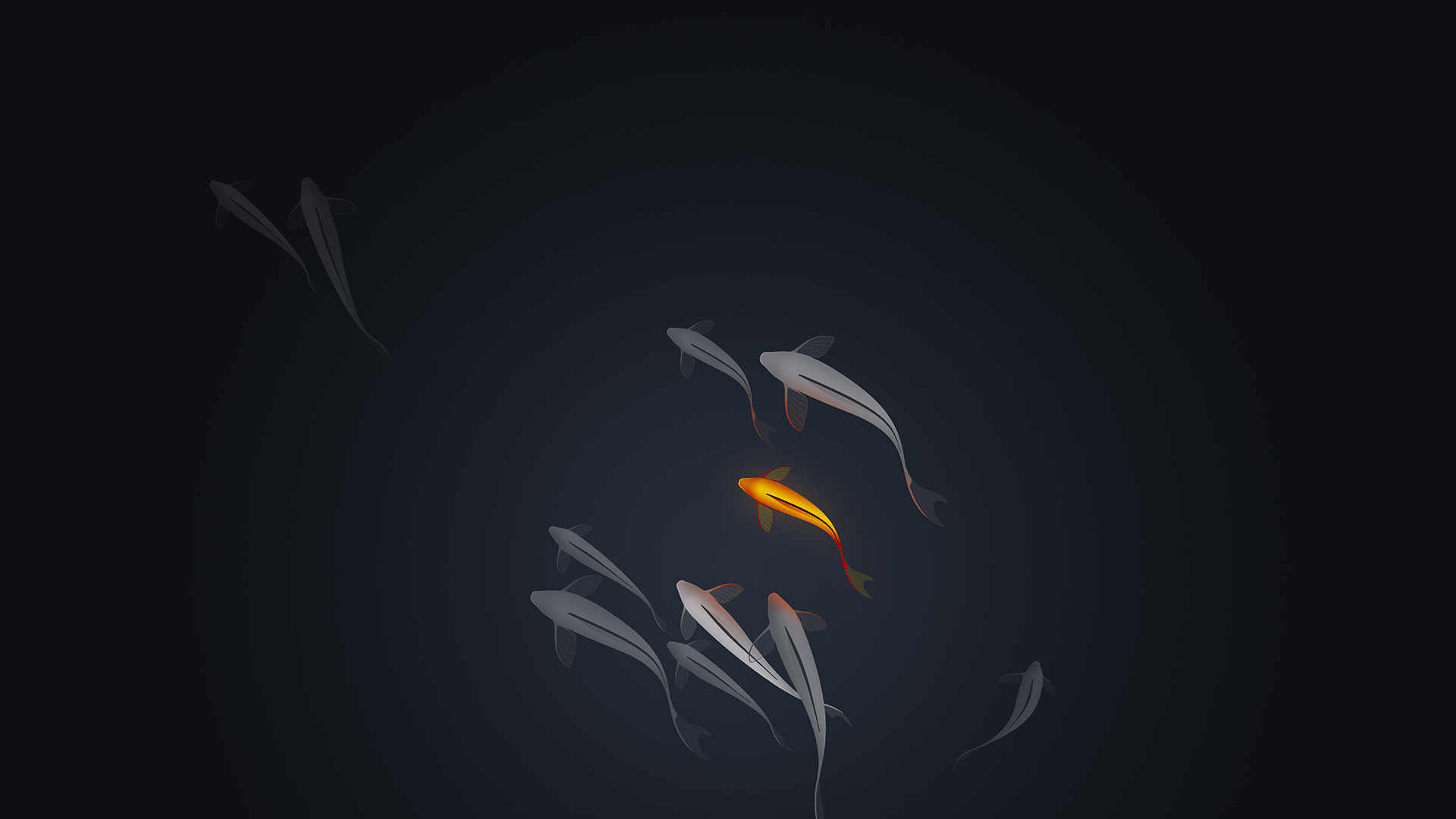 General 1920x1080 artwork fish animals minimalism koi black orange dark byrotek 