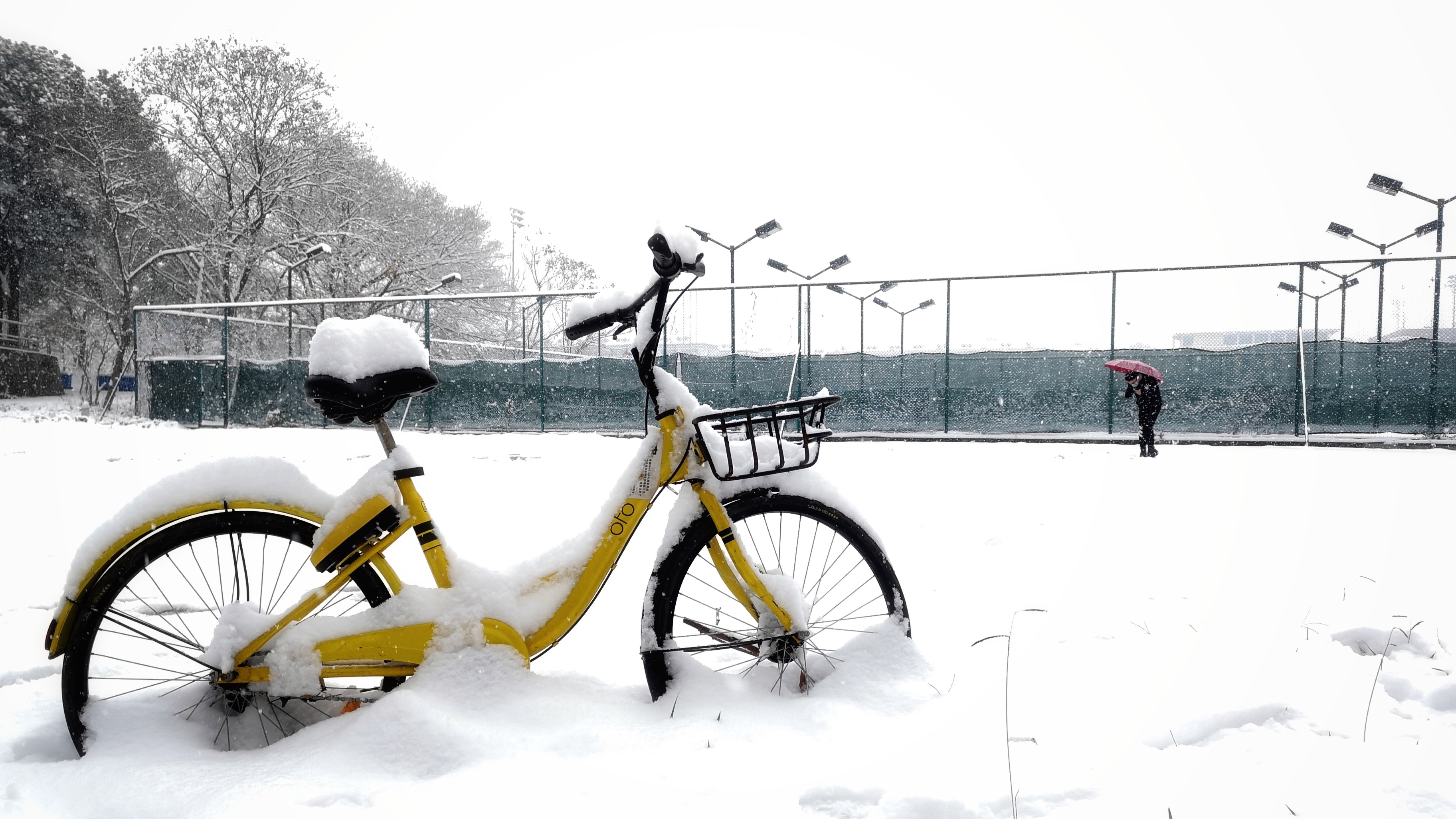 General 3648x2052 photography China wuhan hzau huazhong agricultural university university snow bicycle vehicle