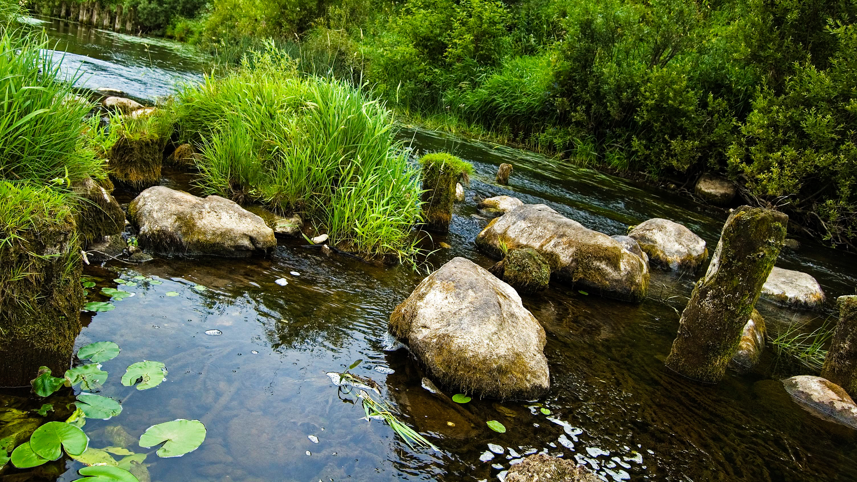 Stone river. Речка Каширка камни. Ручей с камнями. Камни в реке. Валуны у реки.