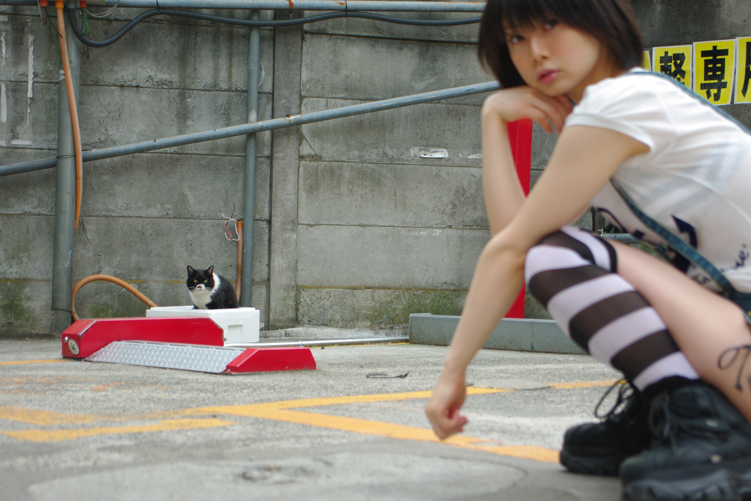 People 2400x1600 Iiniku Ushijima Asian women model squatting cats