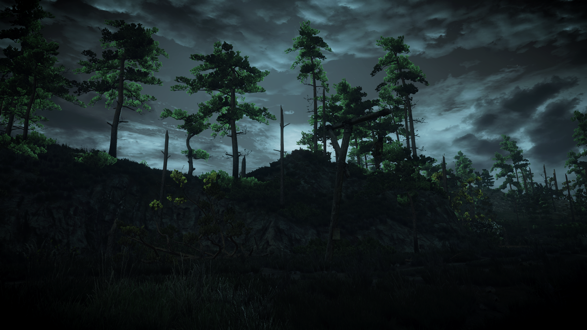 General 1920x1080 The Witcher 3: Wild Hunt video games screen shot trees dark RPG PC gaming