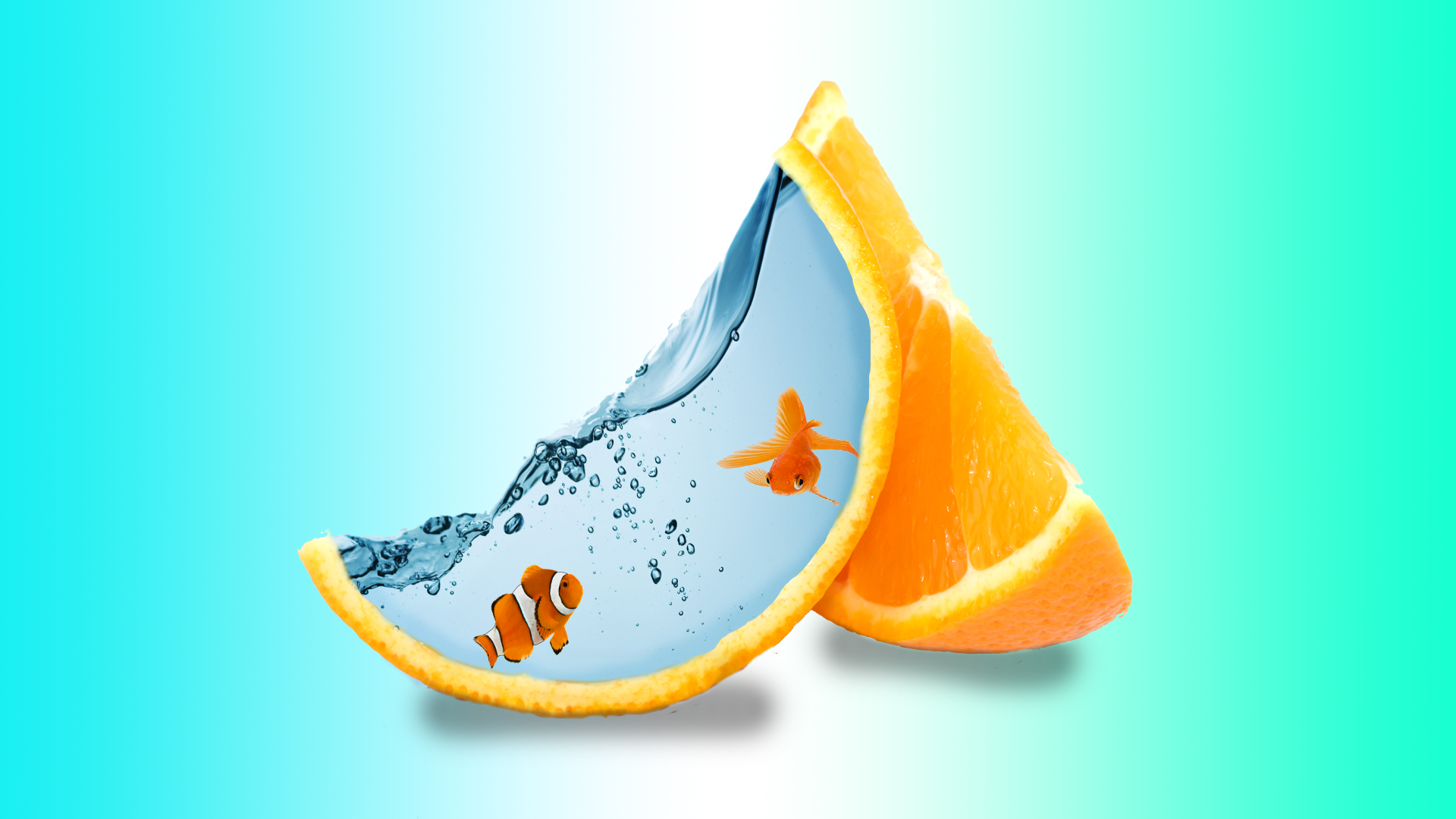 General 1920x1080 orange (fruit) artwork fish gradient simple background cyan food fruit water animals digital art