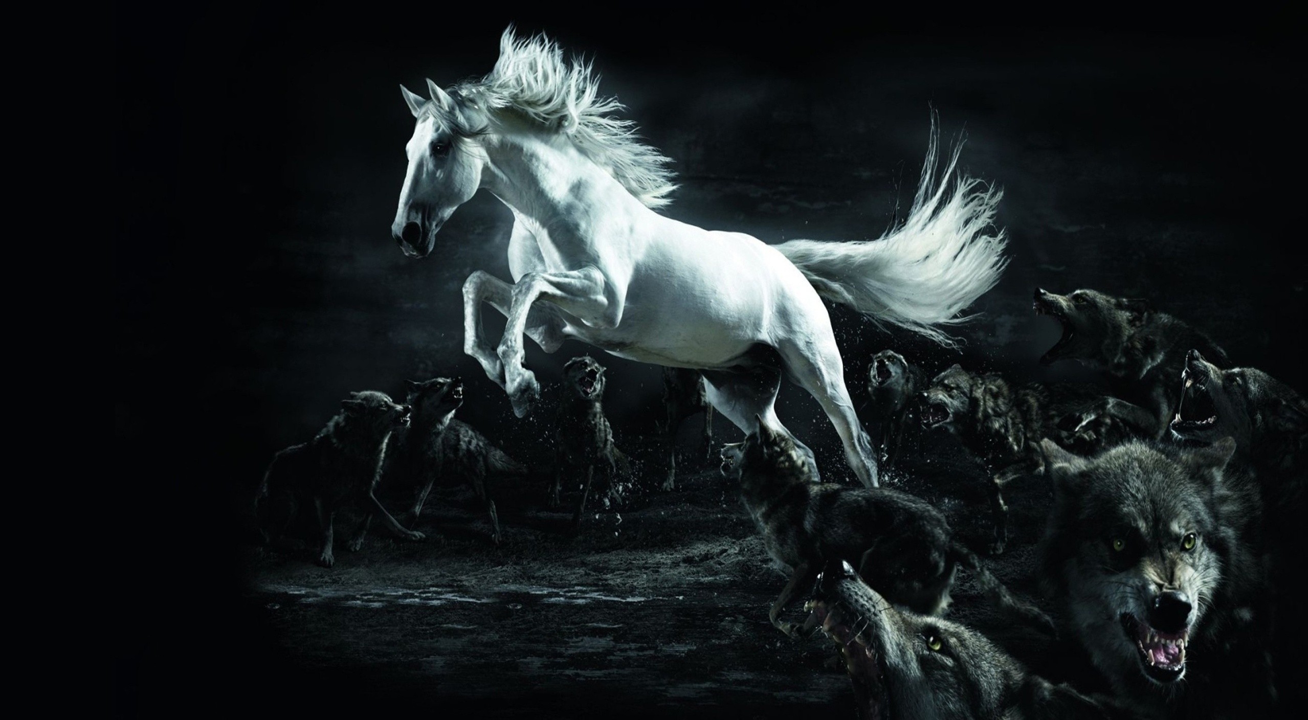 General 2557x1408 horse animals wolf creature fantasy art digital art