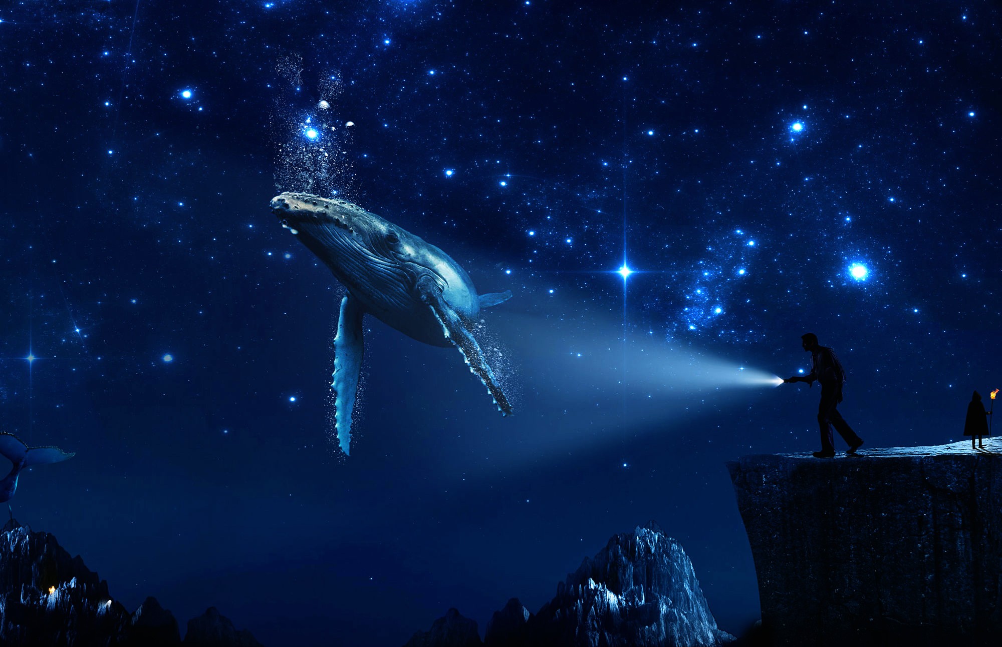 General 2000x1293 fantasy art digital art sky whale animals flashlight stars nature mammals artwork